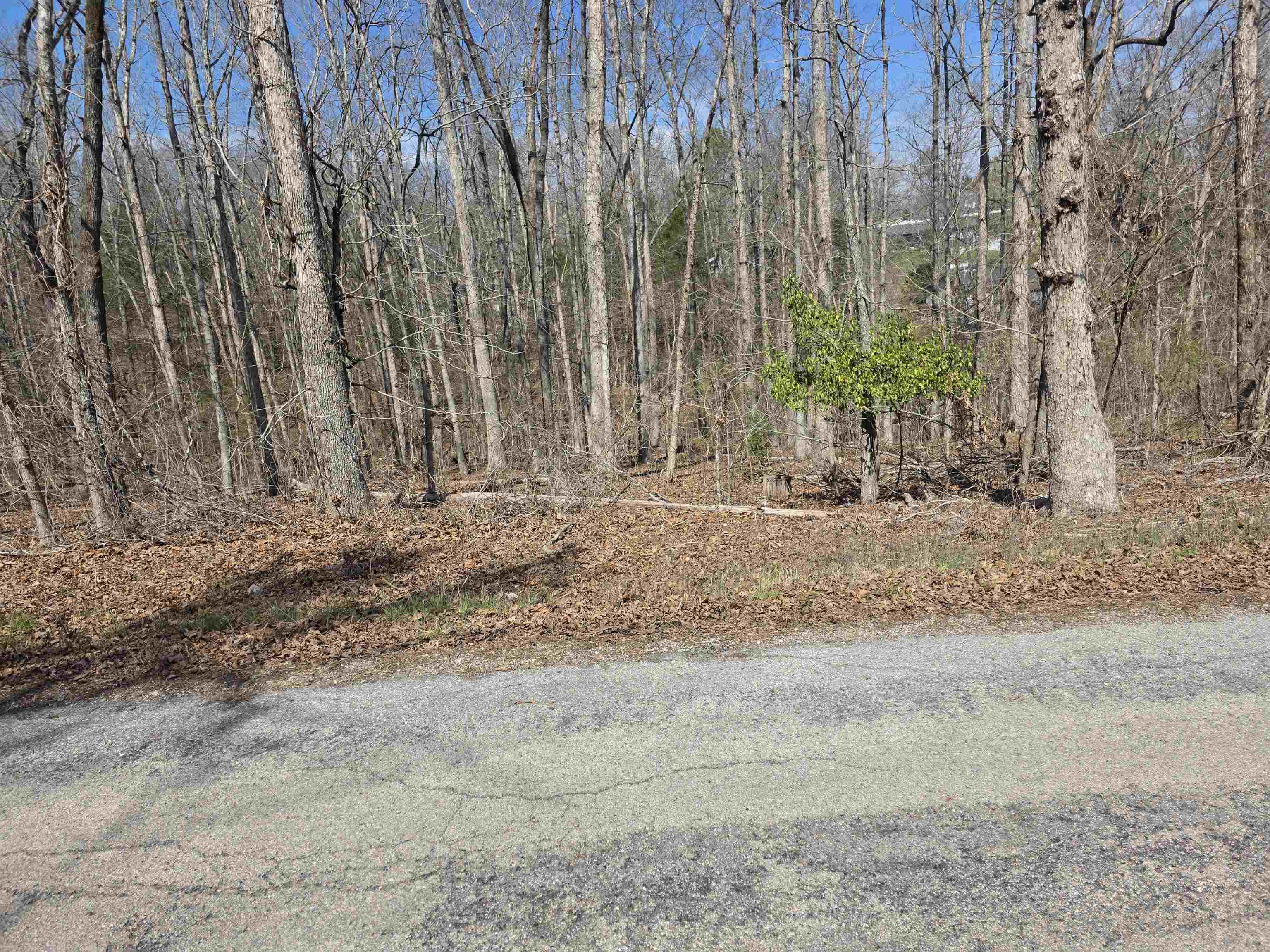 Photo 9 - Vacant Land for sale – L5 B4  Powhatan   Cherokee Village, AR