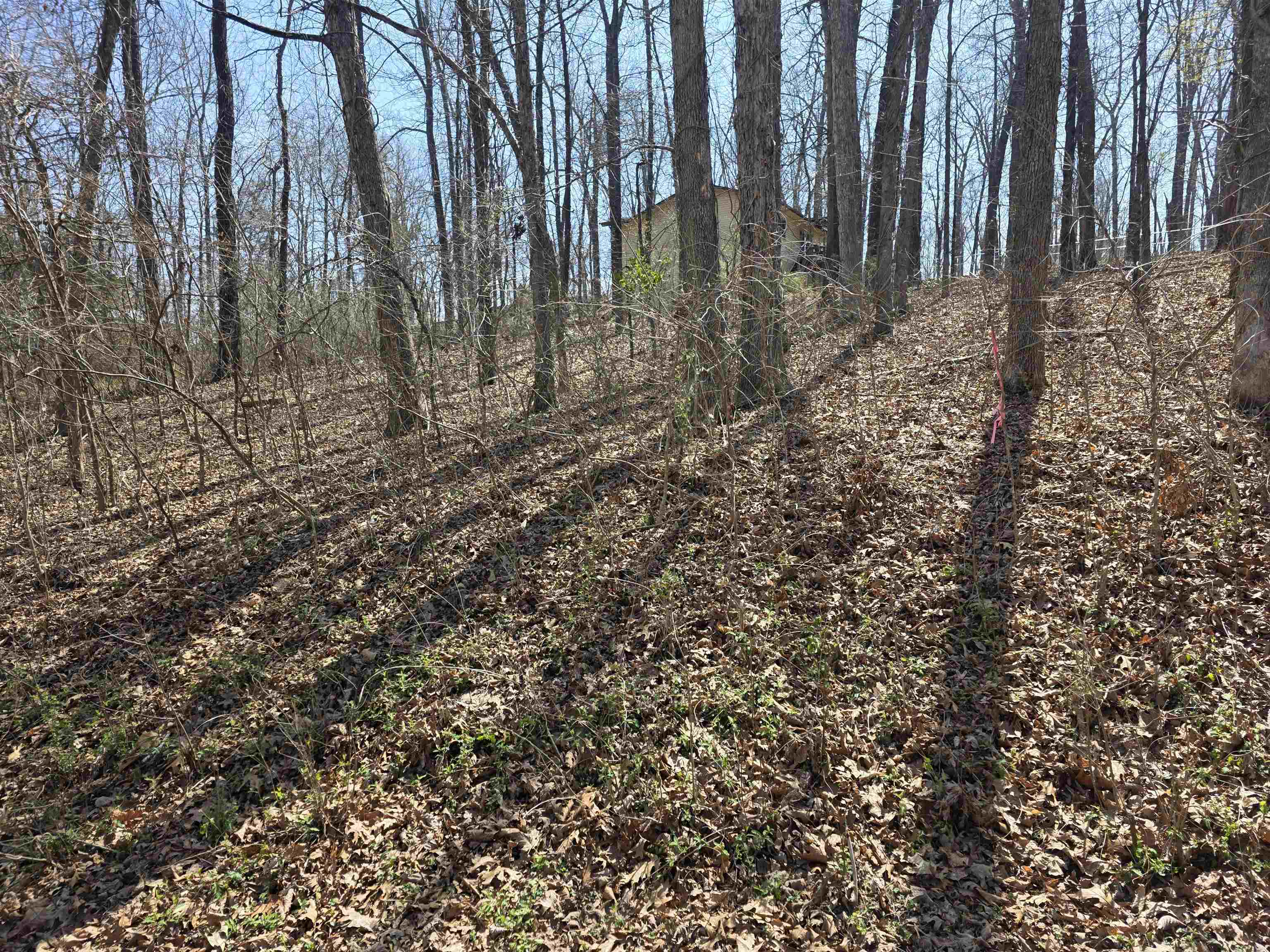 Vacant Land for sale – L35 B2  Powhatan   Cherokee Village, AR