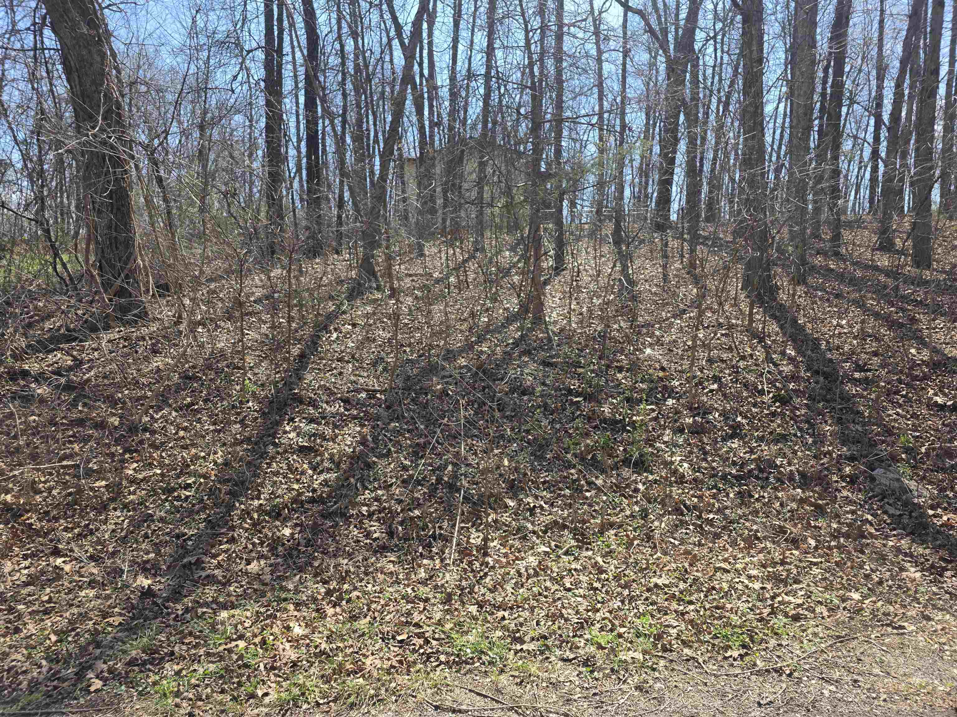 Photo 2 - Vacant Land for sale – L35 B2  Powhatan   Cherokee Village, AR