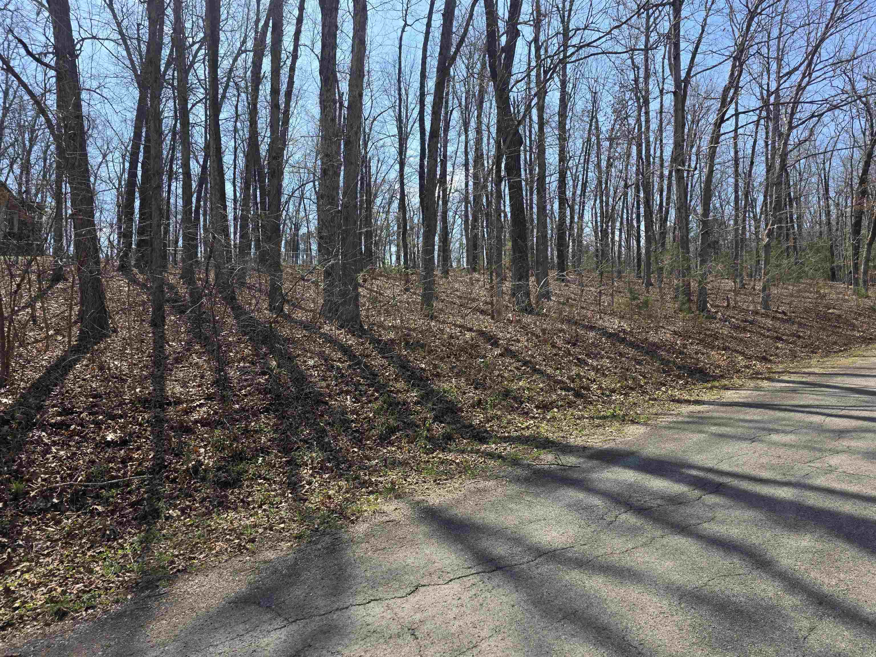 Photo 3 - Vacant Land for sale – L35 B2  Powhatan   Cherokee Village, AR