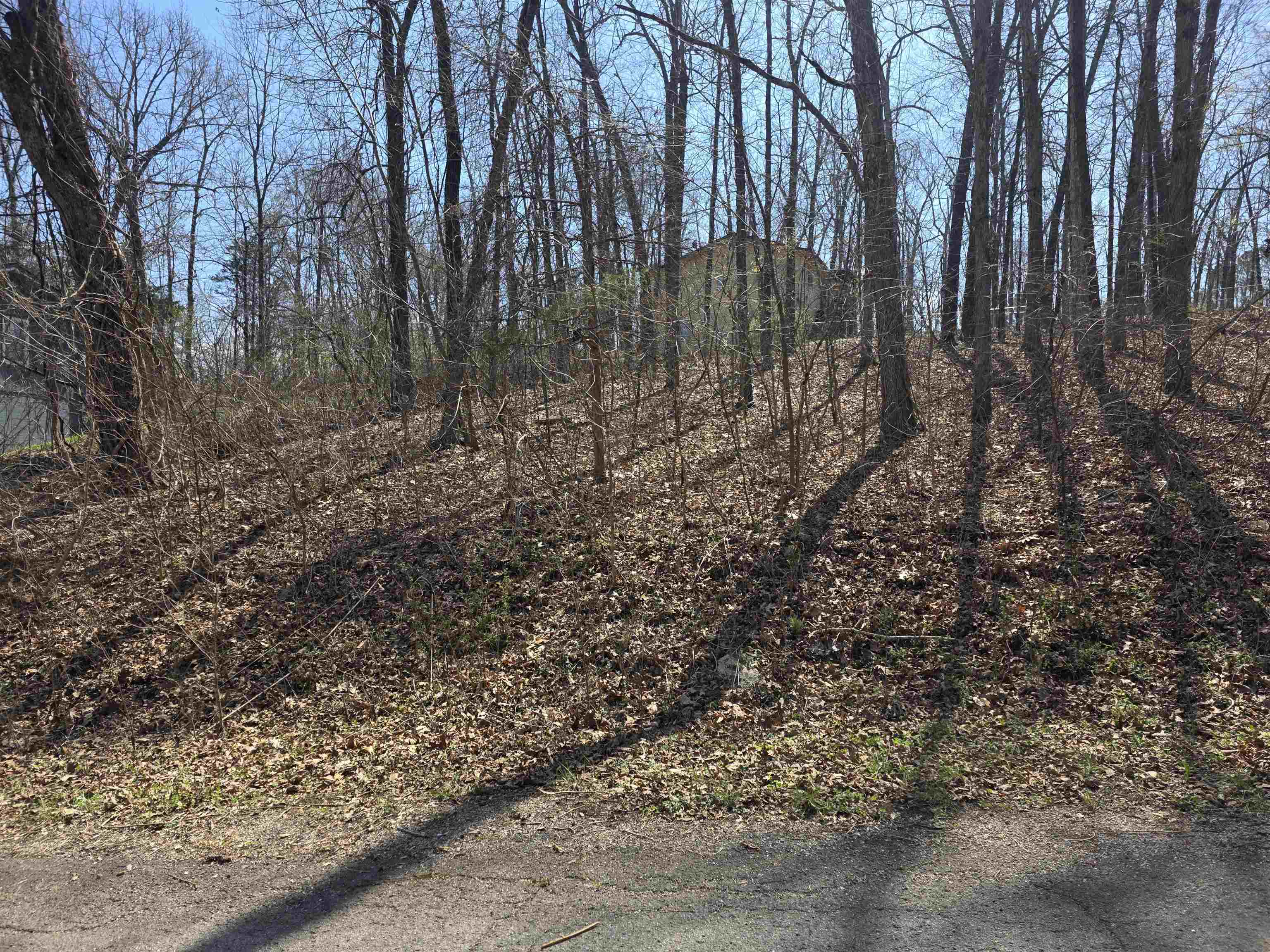 Photo 4 - Vacant Land for sale – L35 B2  Powhatan   Cherokee Village, AR