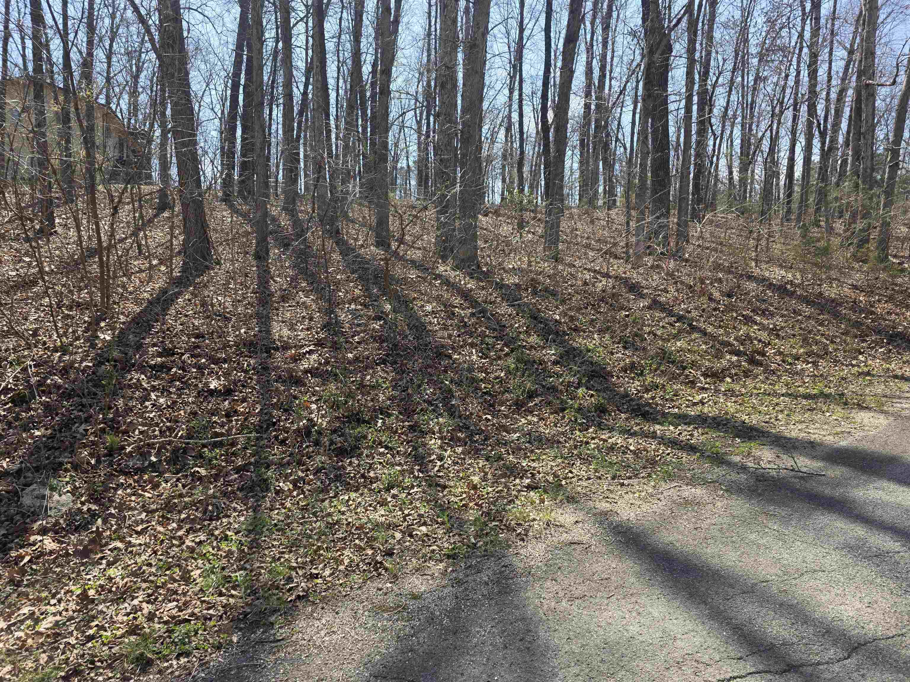 Photo 5 - Vacant Land for sale – L35 B2  Powhatan   Cherokee Village, AR