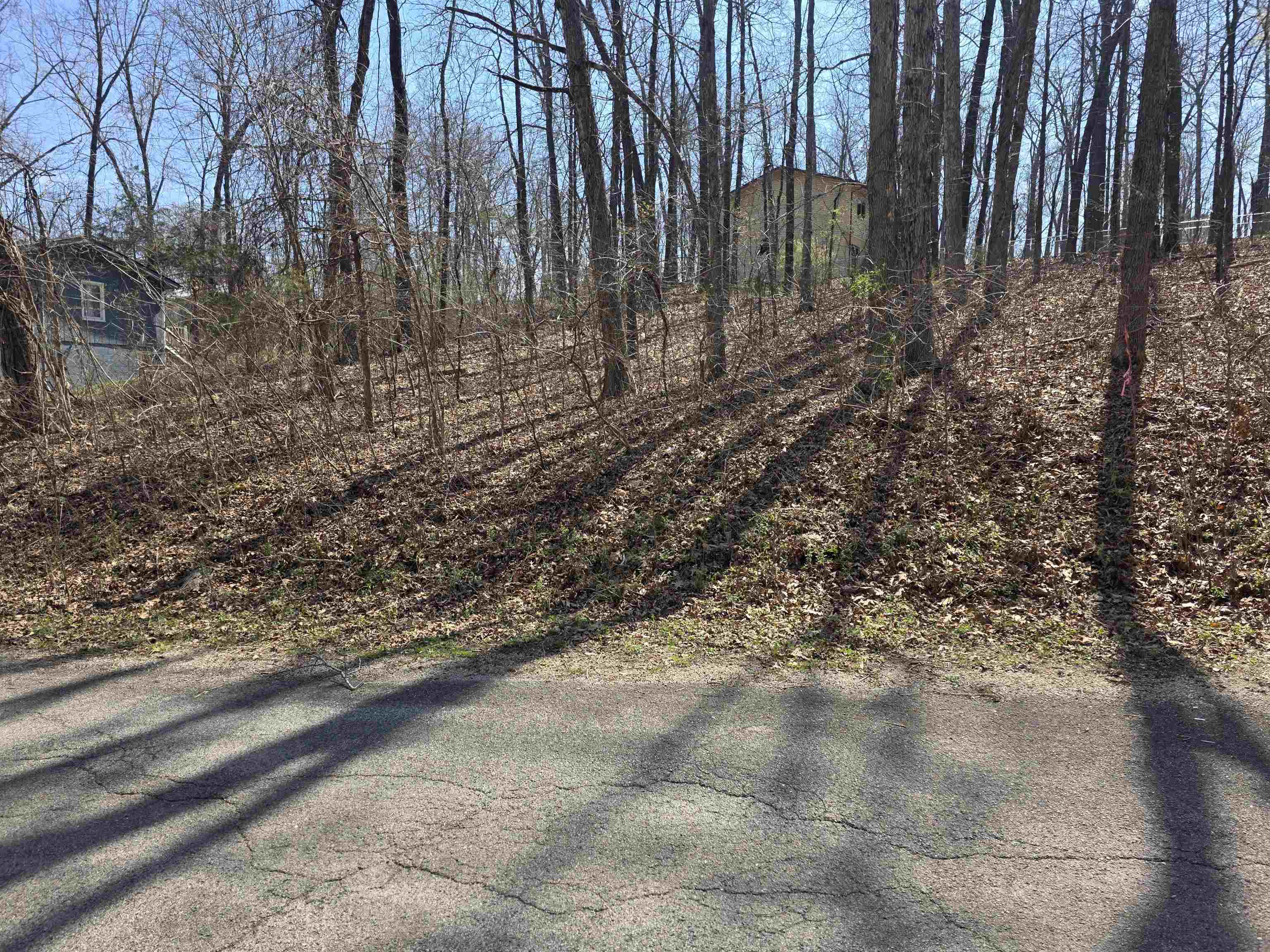 Photo 6 - Vacant Land for sale – L35 B2  Powhatan   Cherokee Village, AR