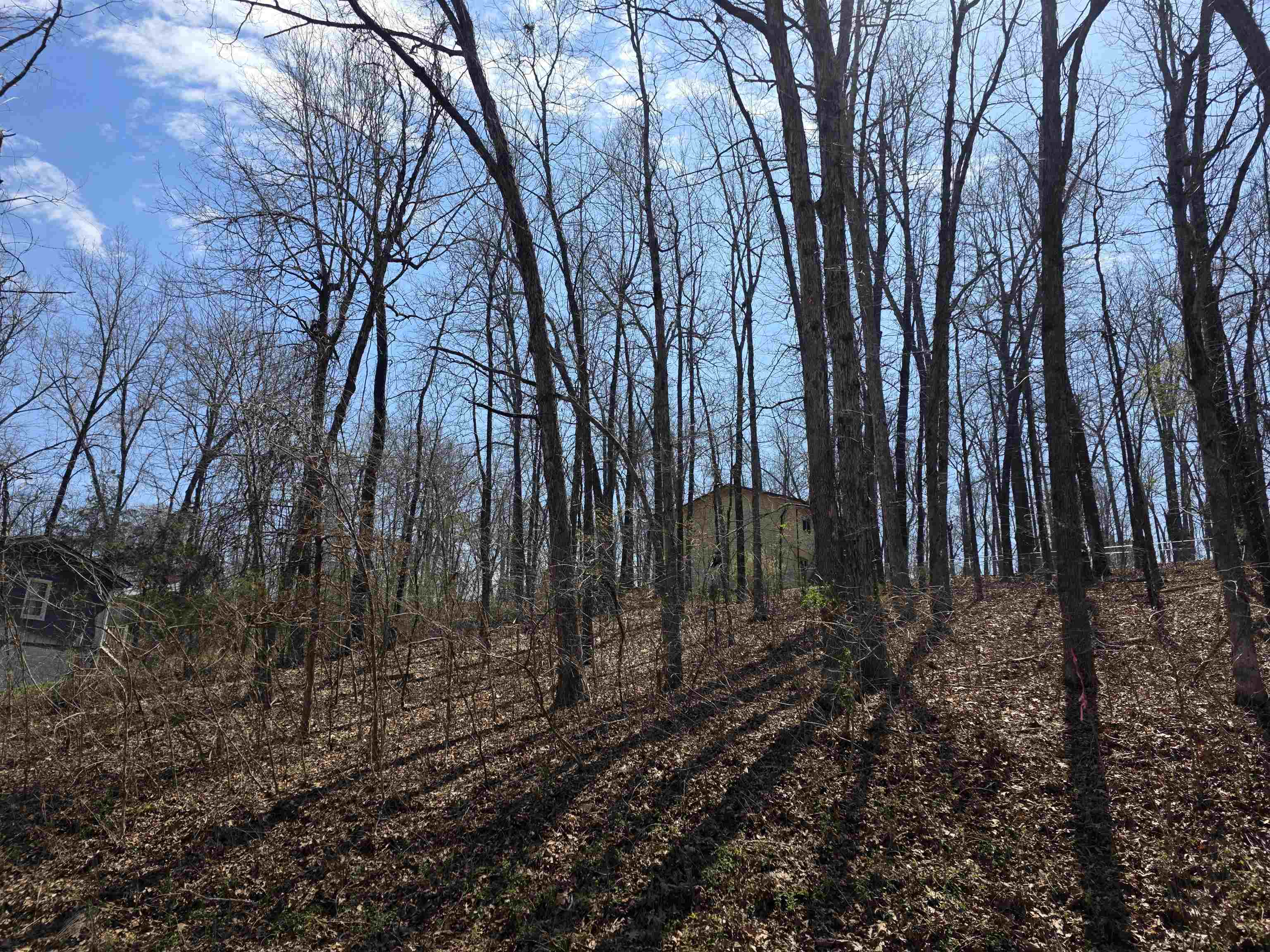 Photo 7 - Vacant Land for sale – L35 B2  Powhatan   Cherokee Village, AR