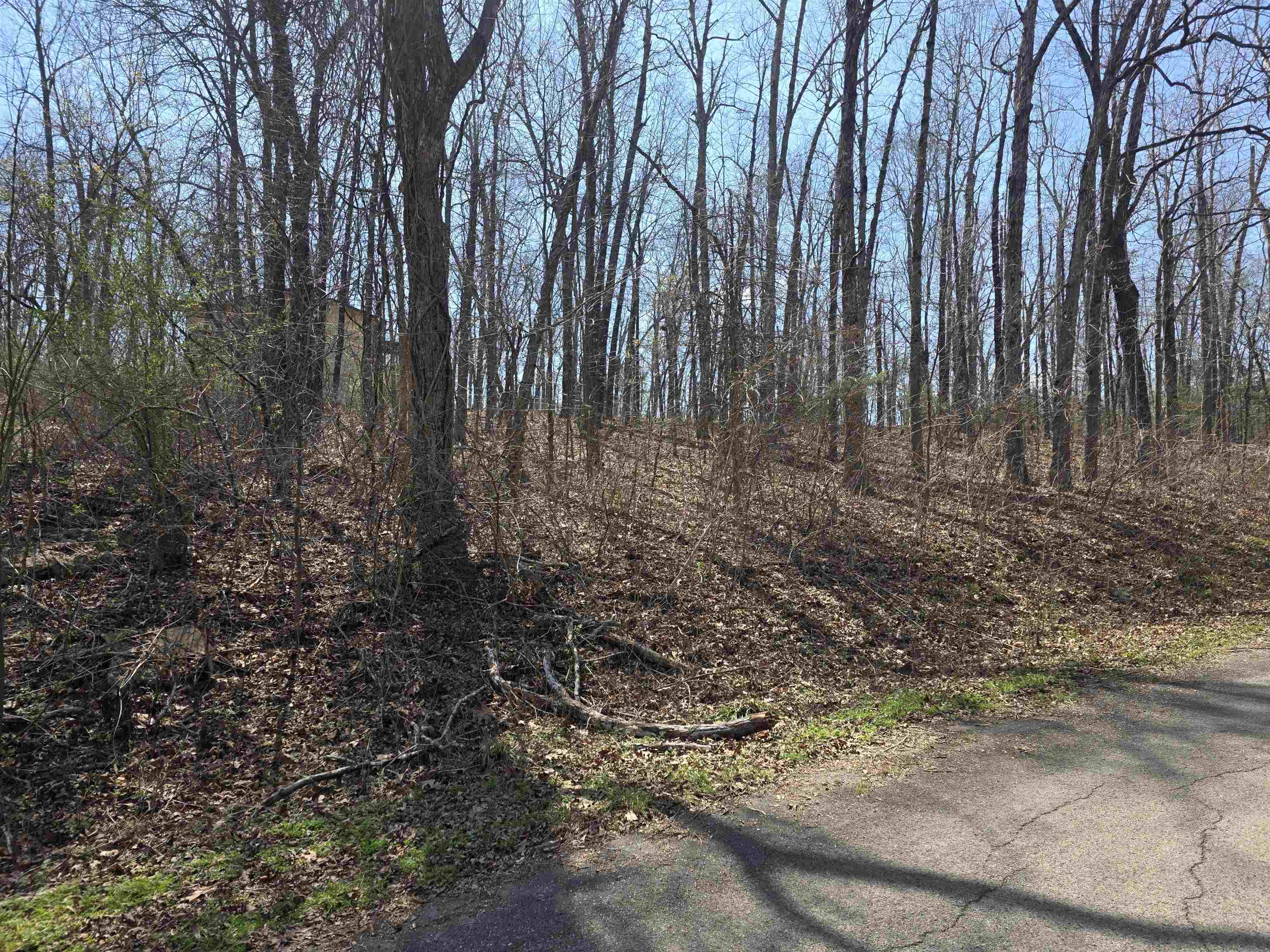 Photo 8 - Vacant Land for sale – L35 B2  Powhatan   Cherokee Village, AR