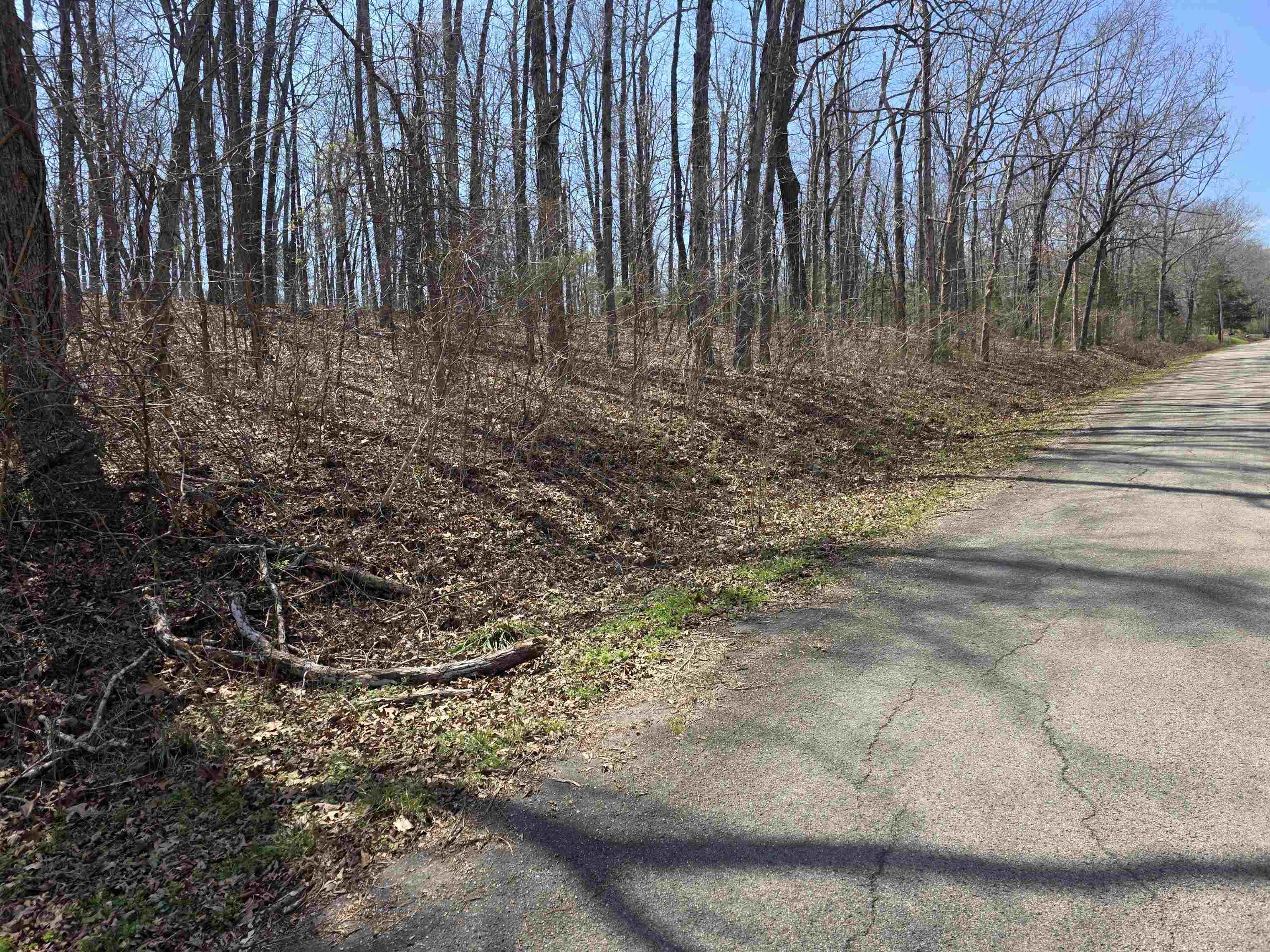 Photo 9 - Vacant Land for sale – L35 B2  Powhatan   Cherokee Village, AR