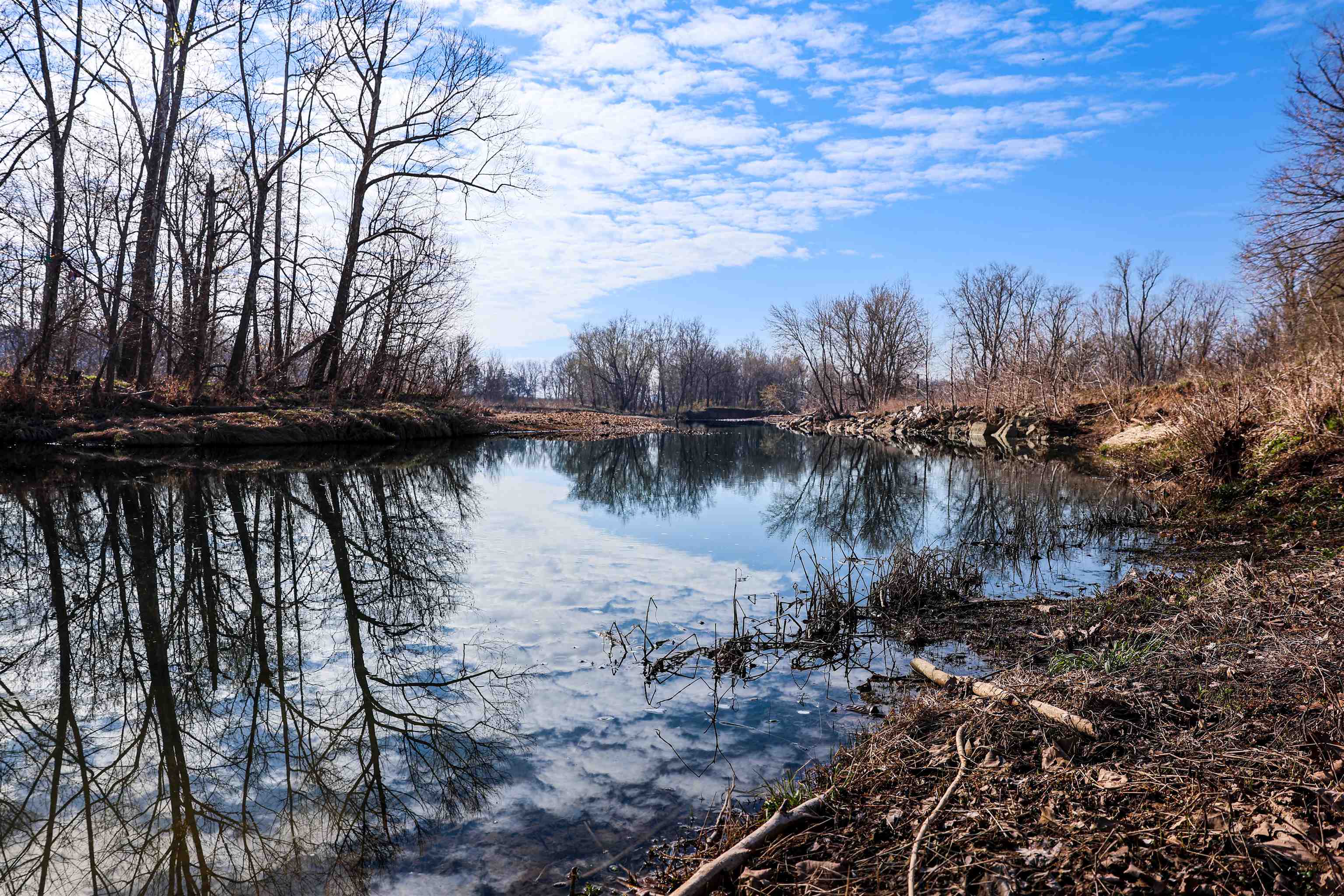 Photo 9 - Residential for sale – 3743  Hwy 395 N   Salem, AR