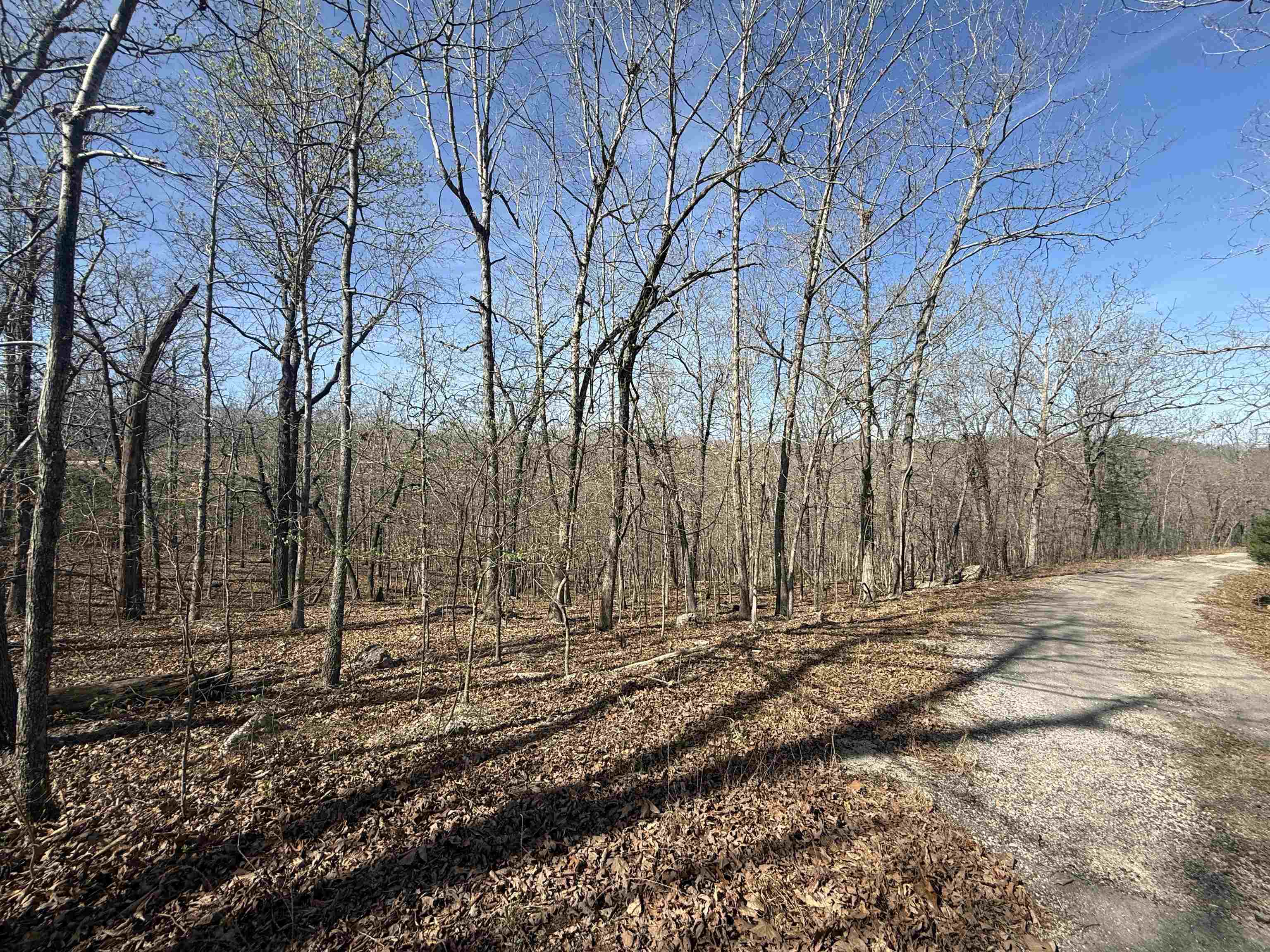 Vacant Land for sale – TBD  Spokane   Cherokee Village, AR