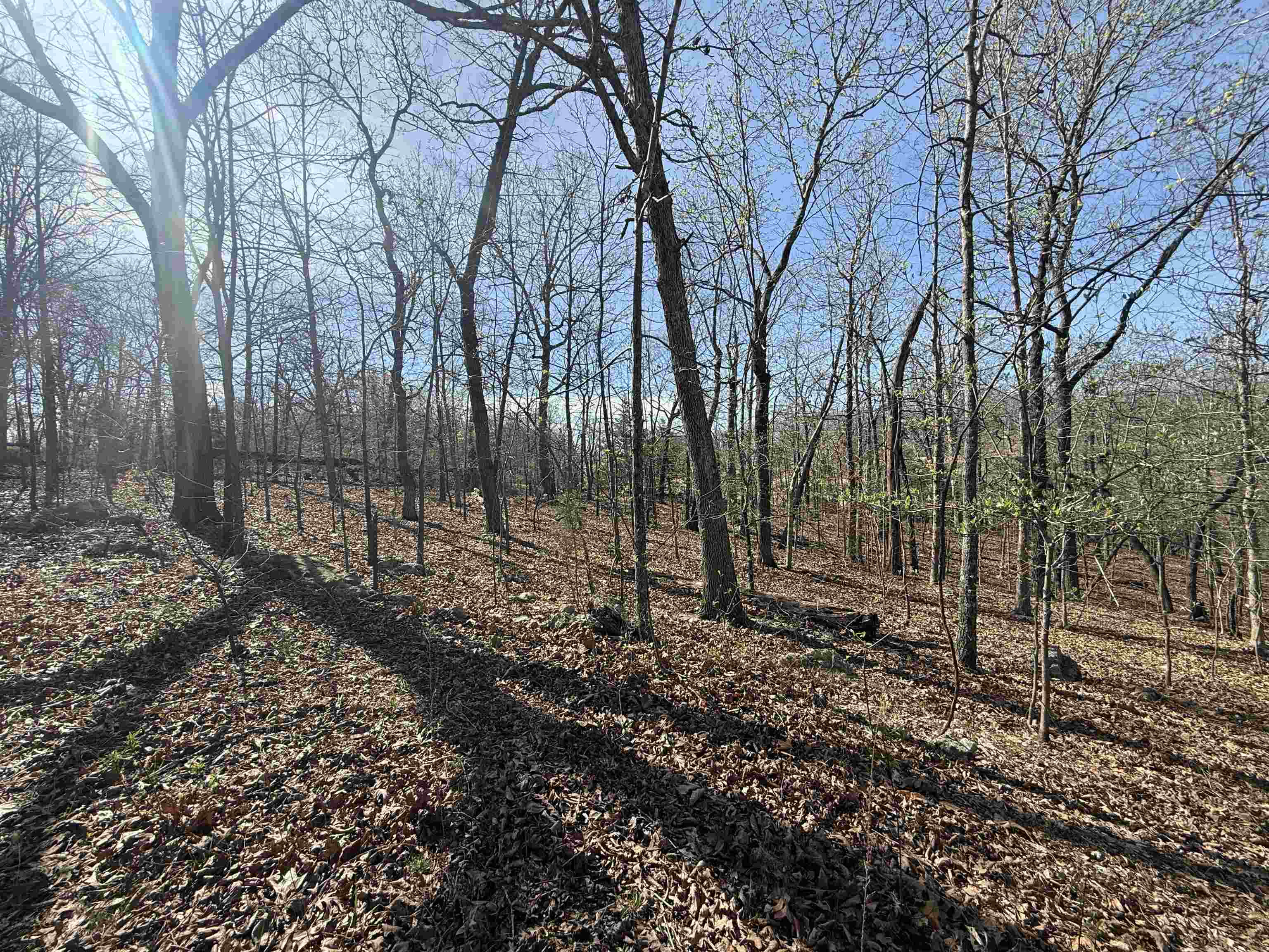 Photo 2 - Vacant Land for sale – TBD  Spokane   Cherokee Village, AR