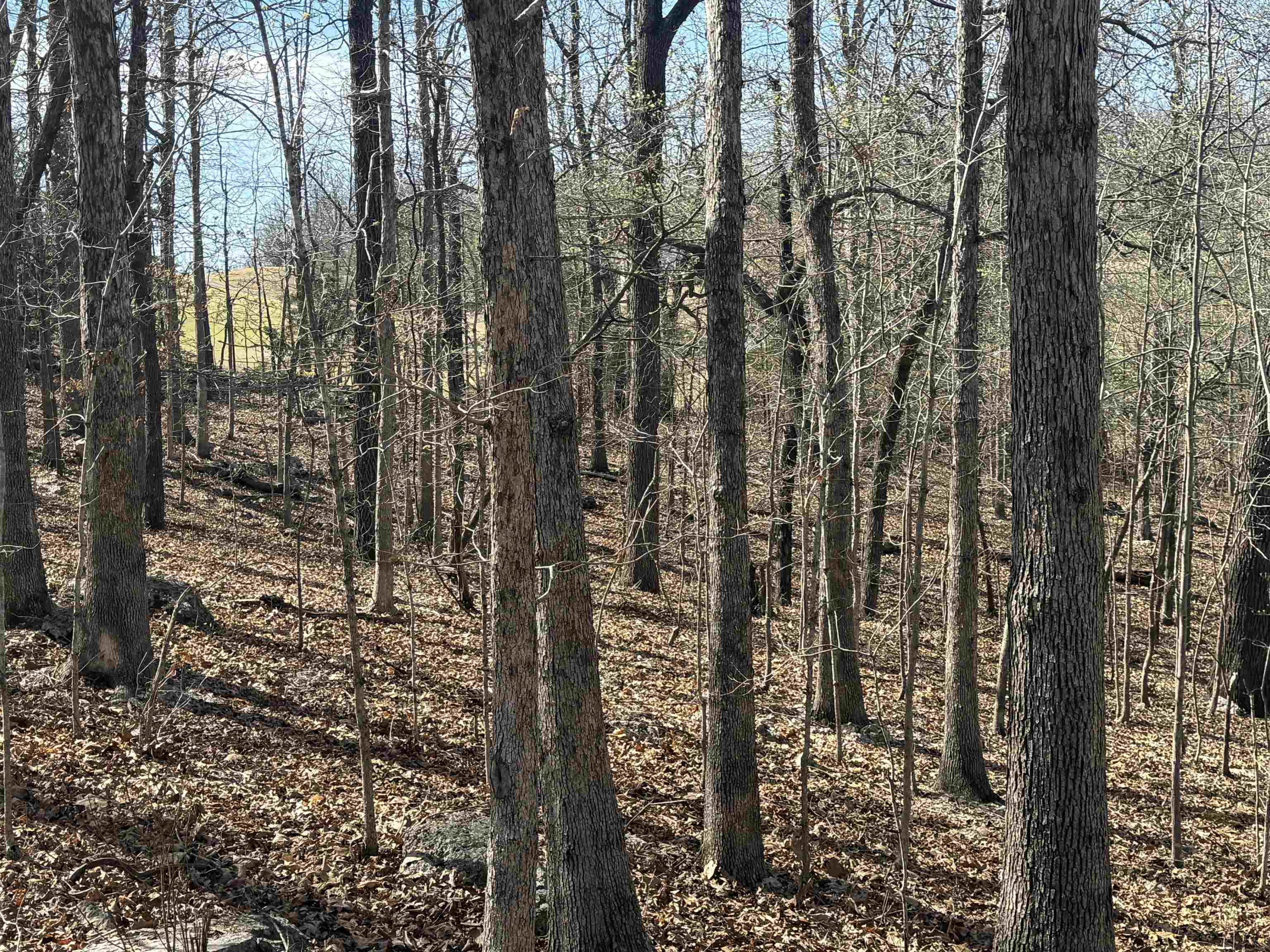 Photo 4 - Vacant Land for sale – TBD  Spokane   Cherokee Village, AR