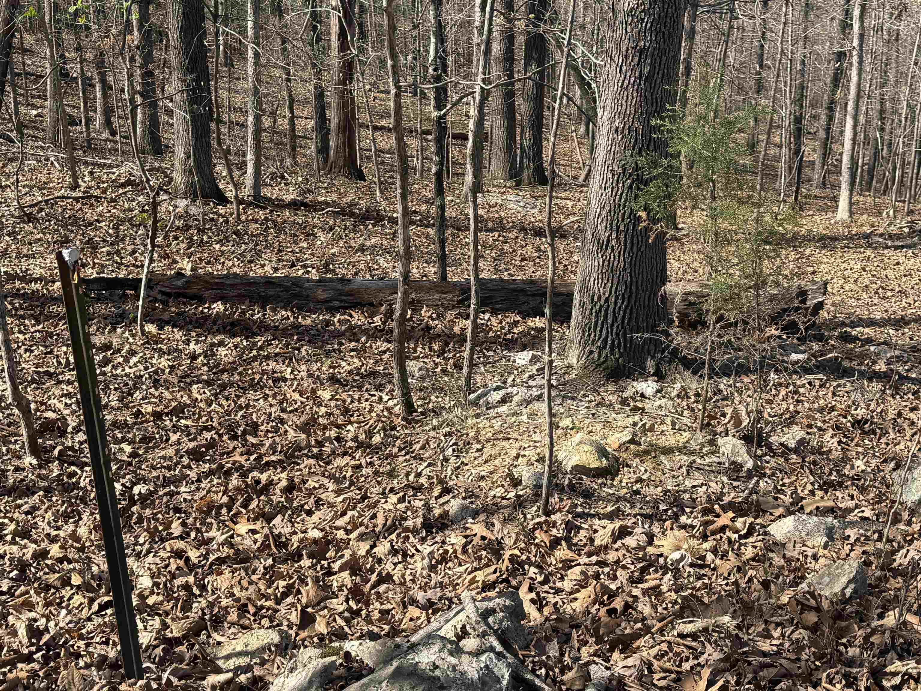 Photo 5 - Vacant Land for sale – TBD  Spokane   Cherokee Village, AR