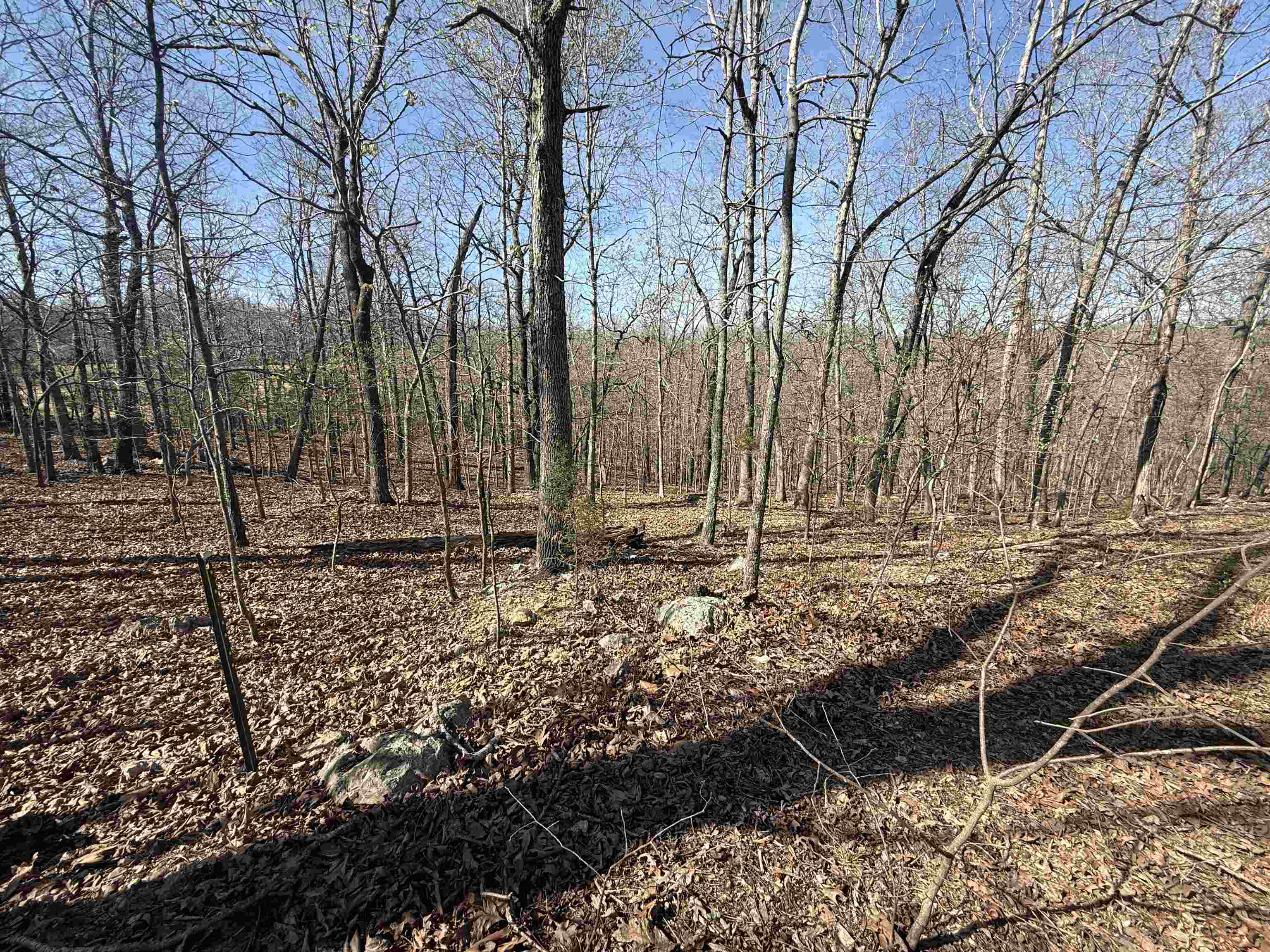 Photo 6 - Vacant Land for sale – TBD  Spokane   Cherokee Village, AR