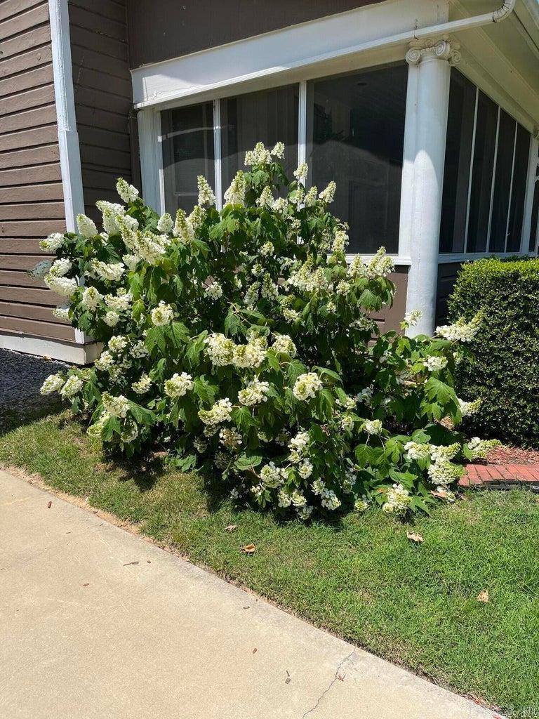 Photo 48 - Residential for sale – 253 N 8th   Batesville, AR