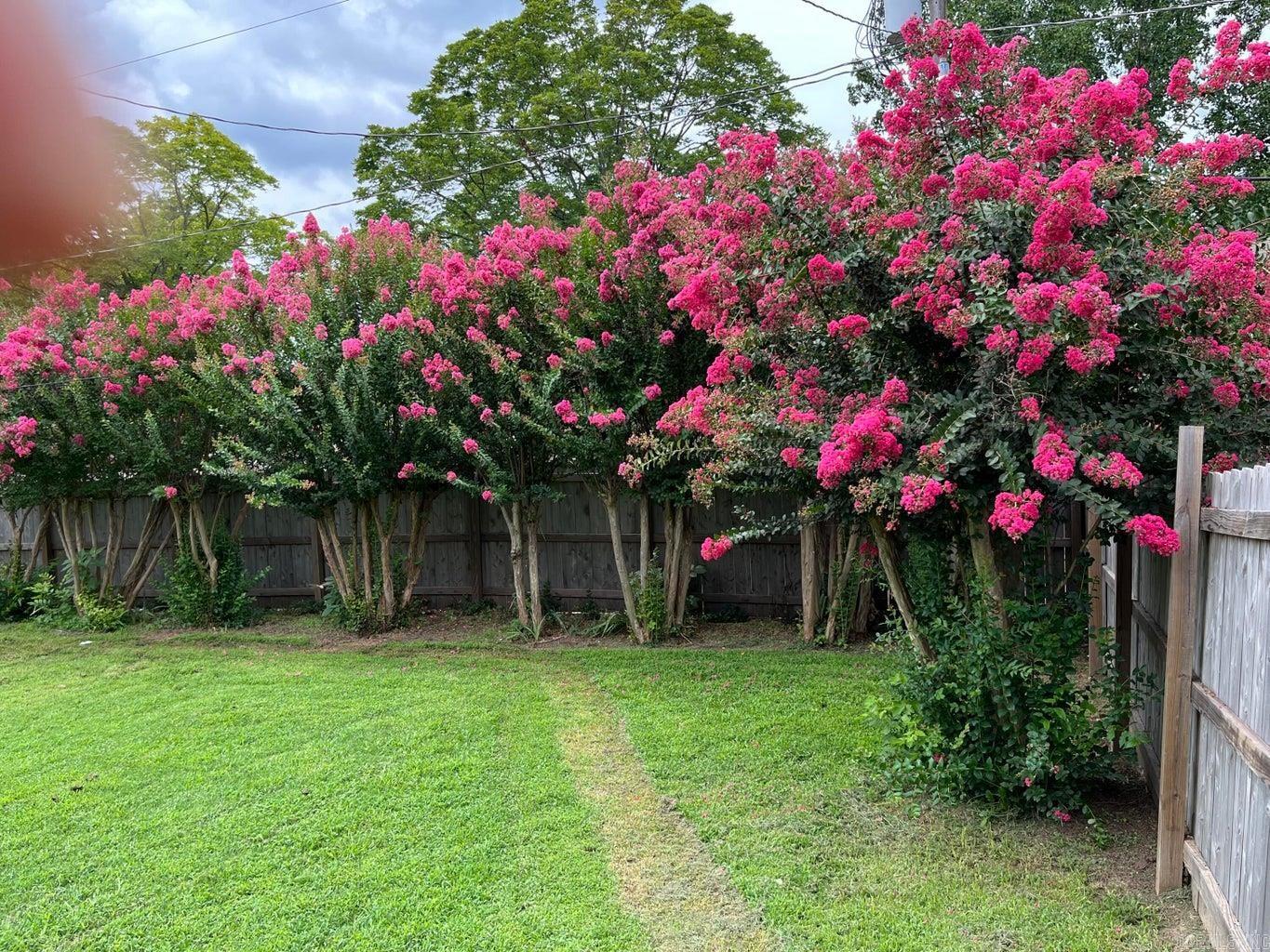 Photo 49 - Residential for sale – 253 N 8th   Batesville, AR