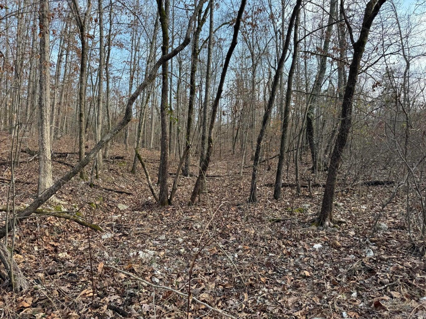 Photo 12 - Vacant Land for sale – 0  Arnhart   Ash Flat, AR