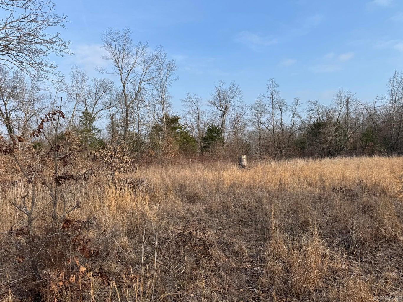 Photo 4 - Vacant Land for sale – 0  Arnhart   Ash Flat, AR