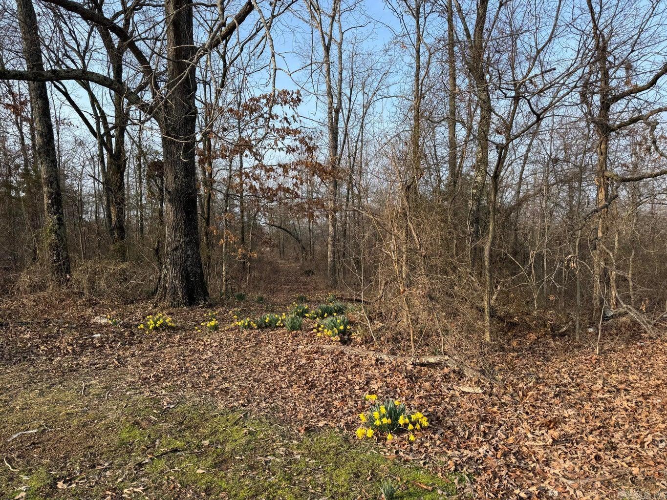 Photo 7 - Vacant Land for sale – 0  Arnhart   Ash Flat, AR