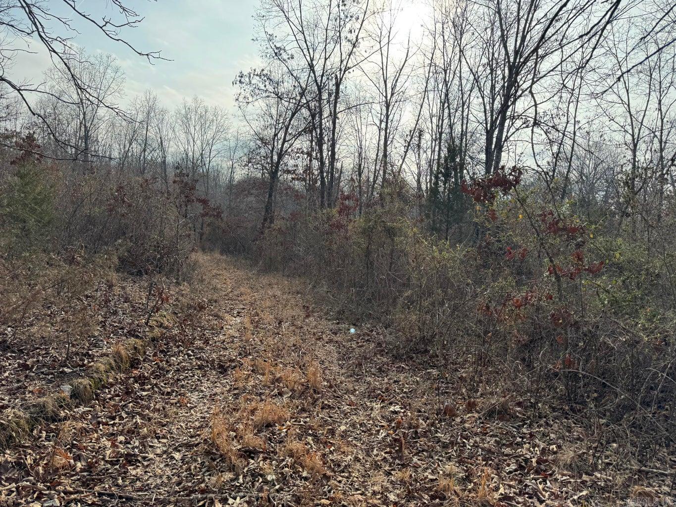 Photo 9 - Vacant Land for sale – 0  Arnhart   Ash Flat, AR
