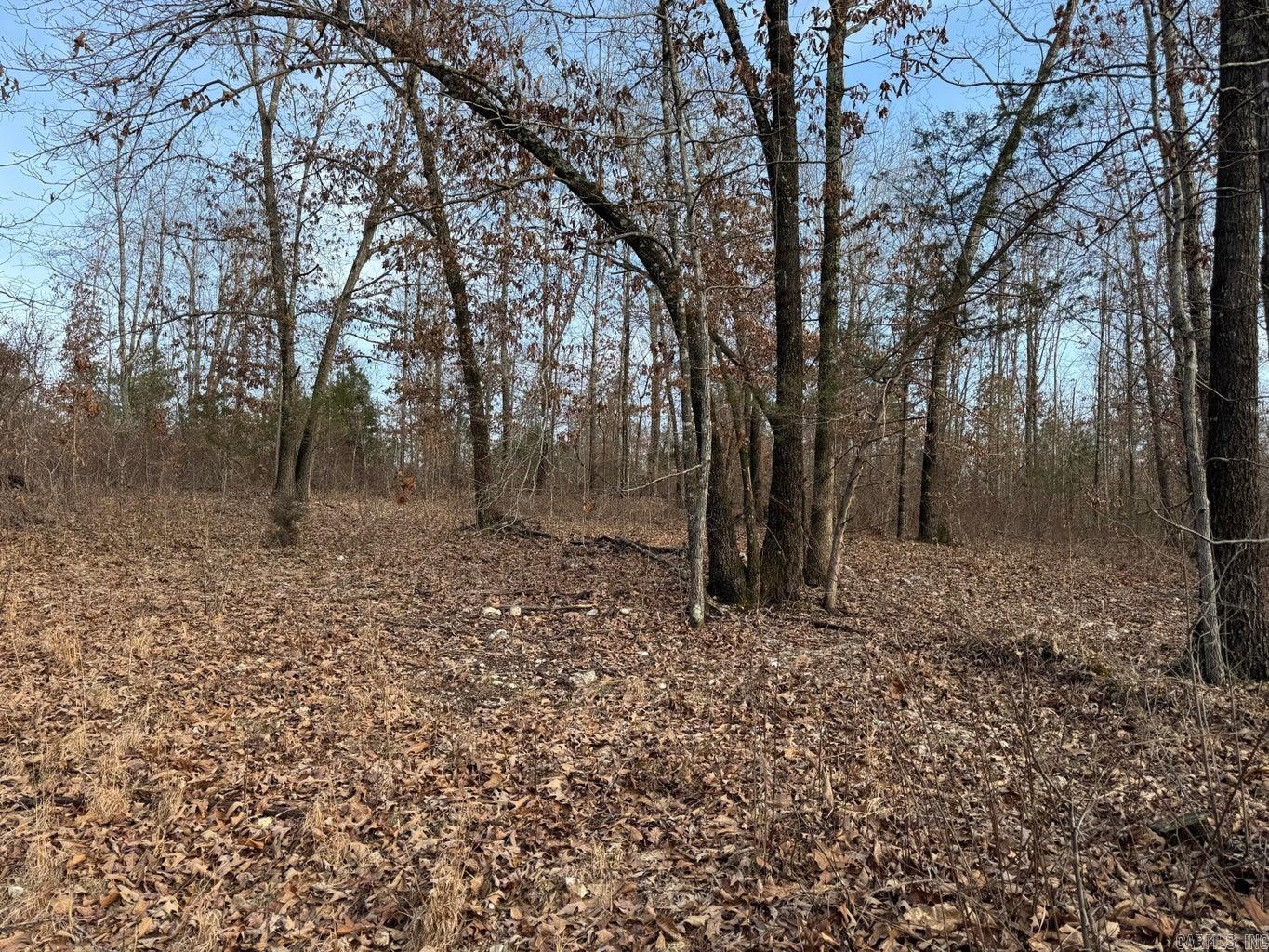 Photo 11 - Vacant Land for sale – 0  Sundown   Highland, AR
