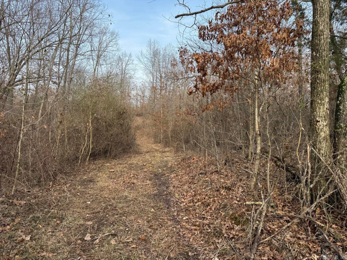 Photo 13 - Vacant Land for sale – 0  Sundown   Highland, AR