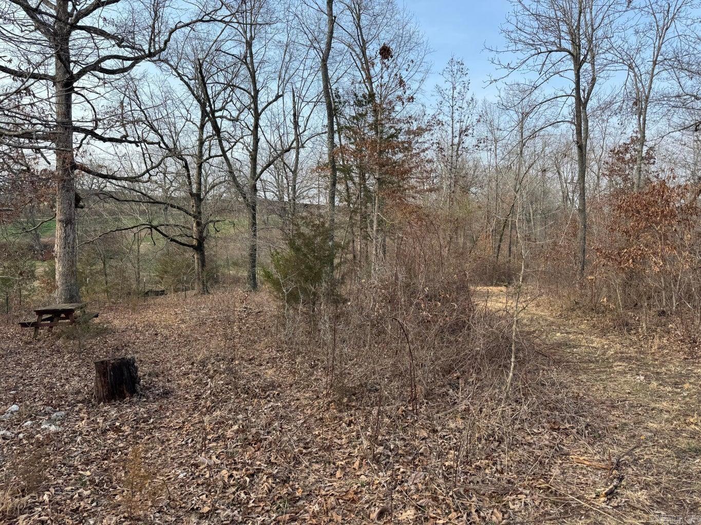Photo 14 - Vacant Land for sale – 0  Sundown   Highland, AR