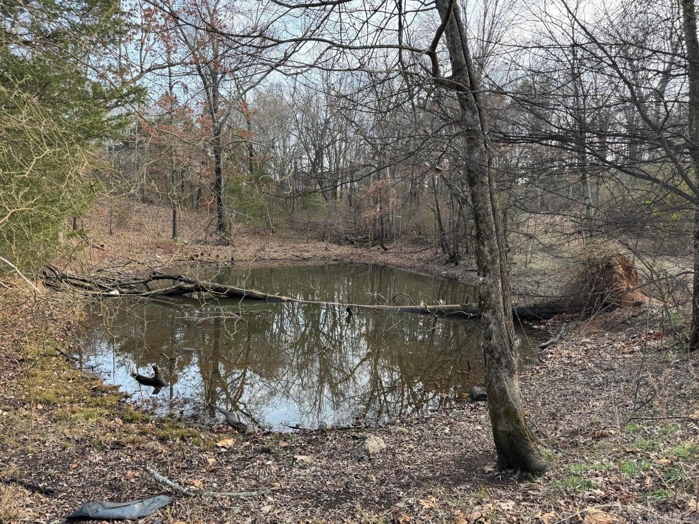 Photo 15 - Vacant Land for sale – 0  Sundown   Highland, AR