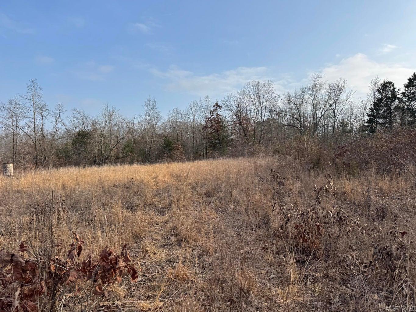 Photo 5 - Vacant Land for sale – 0  Sundown   Highland, AR