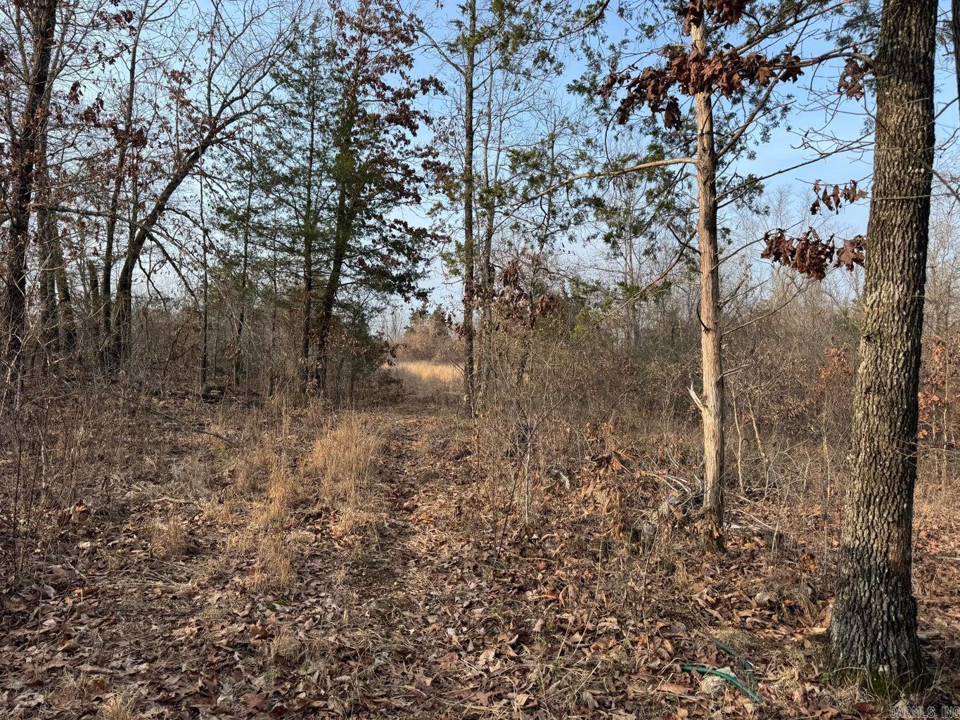 Photo 6 - Vacant Land for sale – 0  Sundown   Highland, AR
