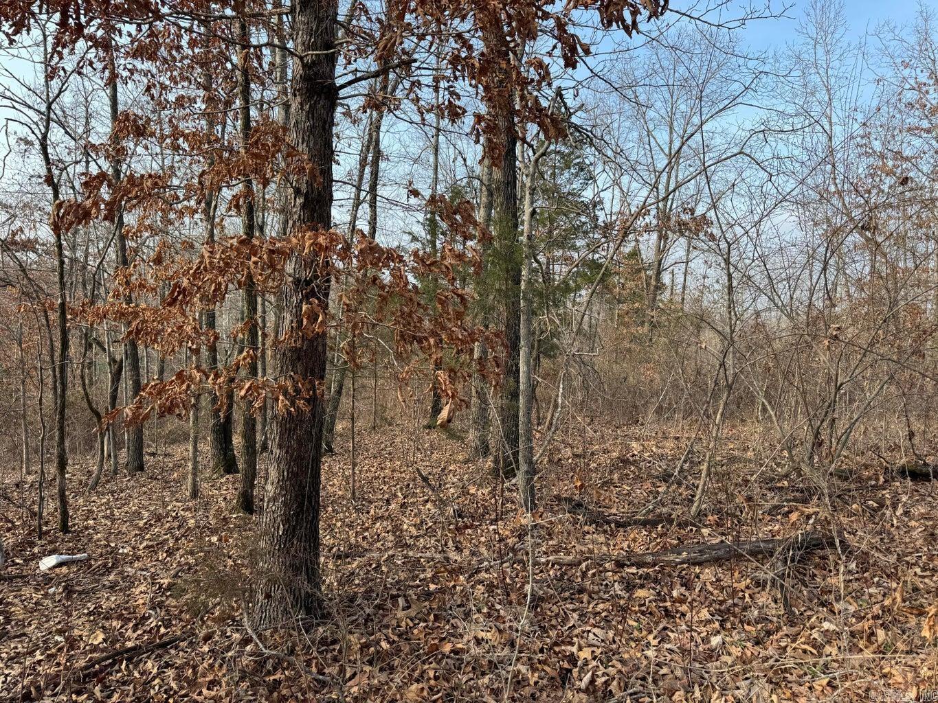 Photo 8 - Vacant Land for sale – 0  Sundown   Highland, AR