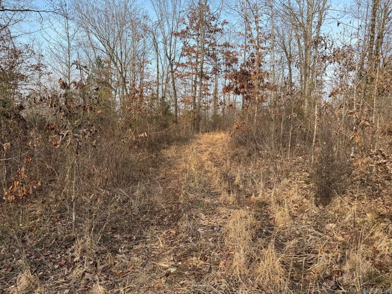 Photo 10 - Vacant Land for sale – 0  Sundown   Highland, AR
