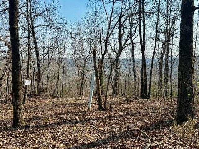 Photo 32 - Residential for sale – 276  Bee Run   Hardy, AR