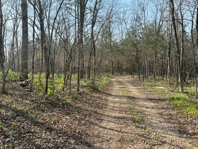 Photo 36 - Residential for sale – 276  Bee Run   Hardy, AR