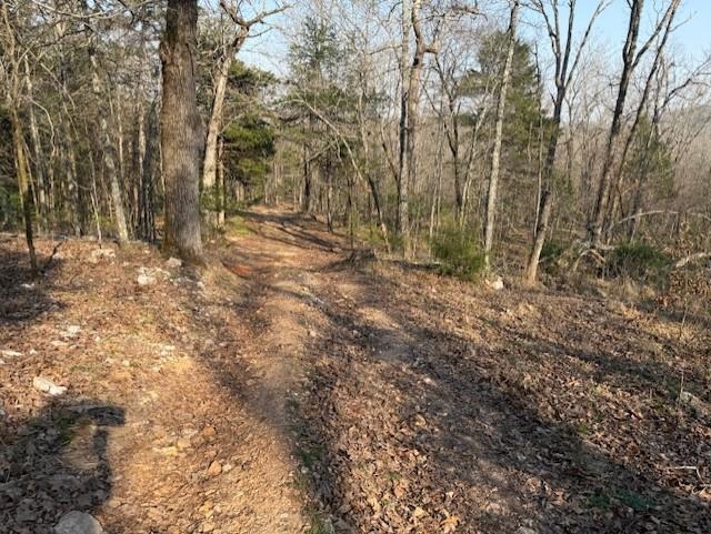 Photo 37 - Residential for sale – 276  Bee Run   Hardy, AR