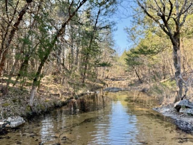 Photo 6 - Residential for sale – 276  Bee Run   Hardy, AR