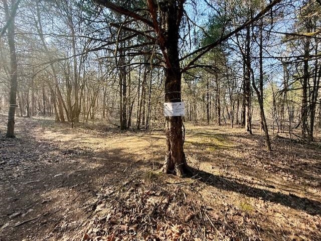 Photo 7 - Residential for sale – 276  Bee Run   Hardy, AR