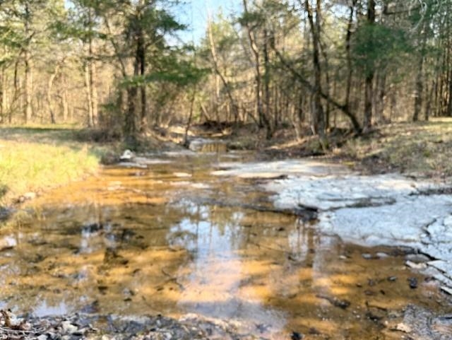 Photo 8 - Residential for sale – 276  Bee Run   Hardy, AR