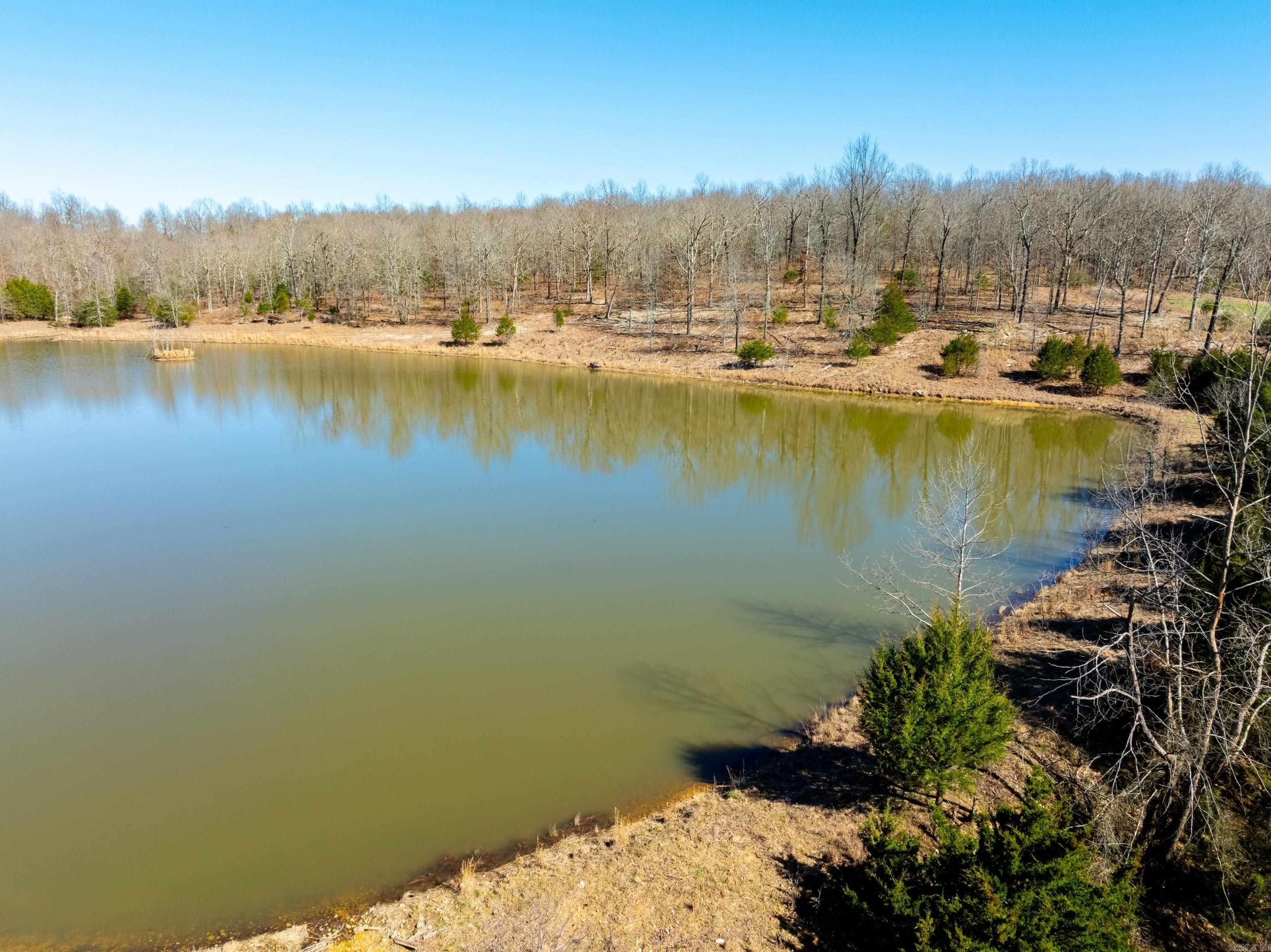 Photo 11 - Vacant Land for sale –   Green Valley Rd   Viola, AR