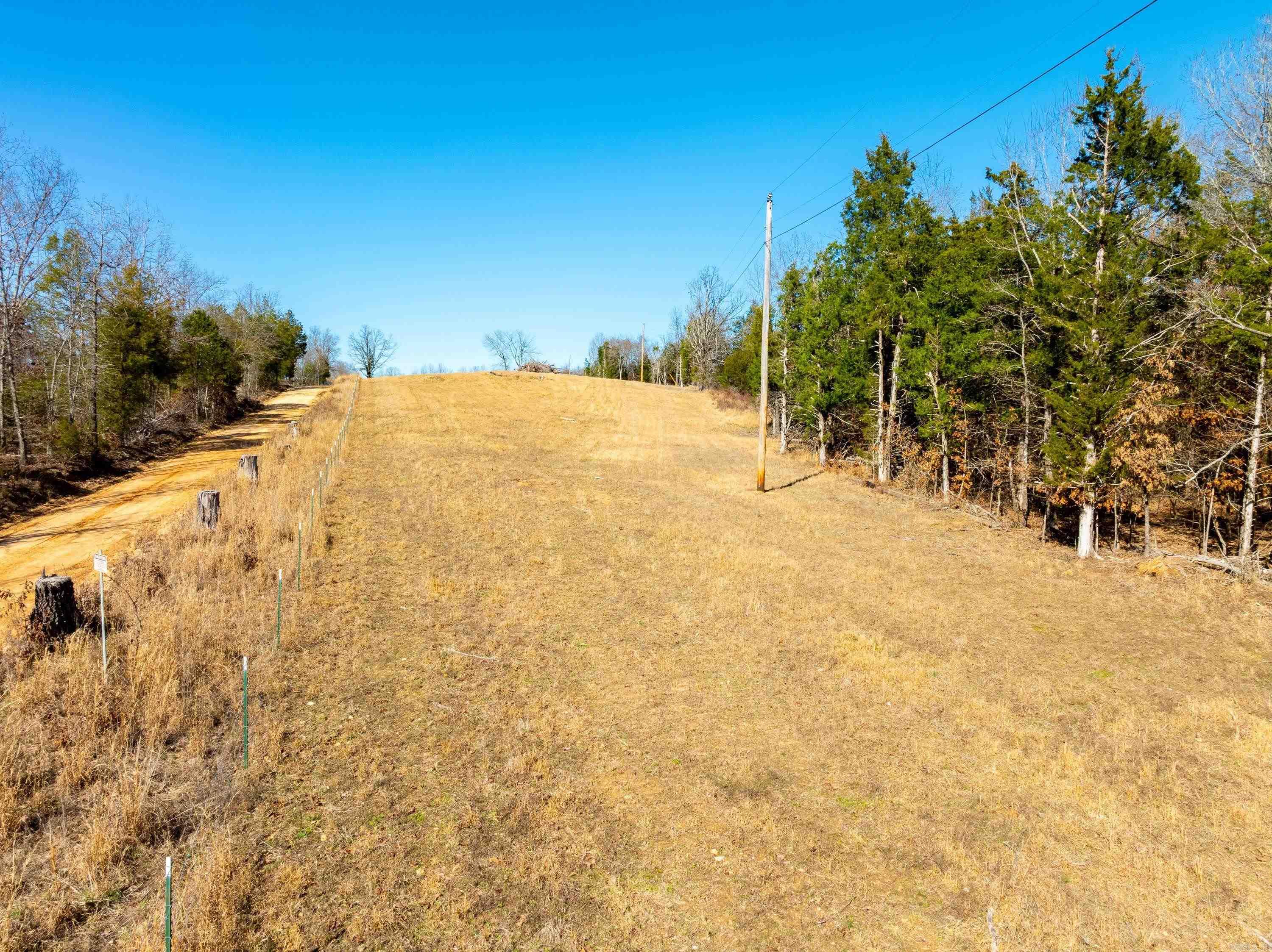Photo 3 - Vacant Land for sale –   Green Valley Rd   Viola, AR