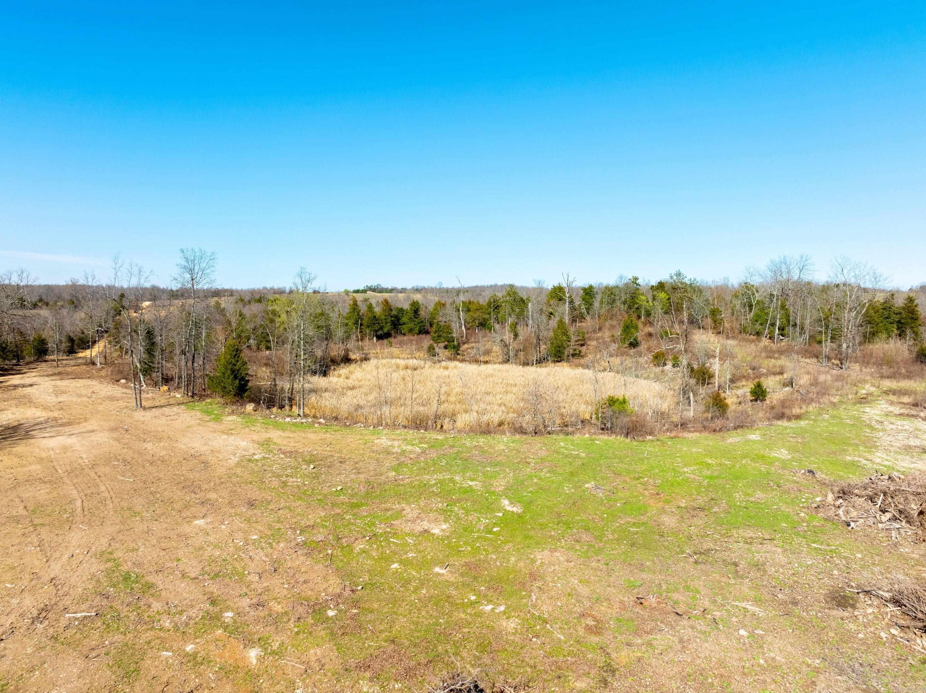 Photo 5 - Vacant Land for sale –   Green Valley Rd   Viola, AR
