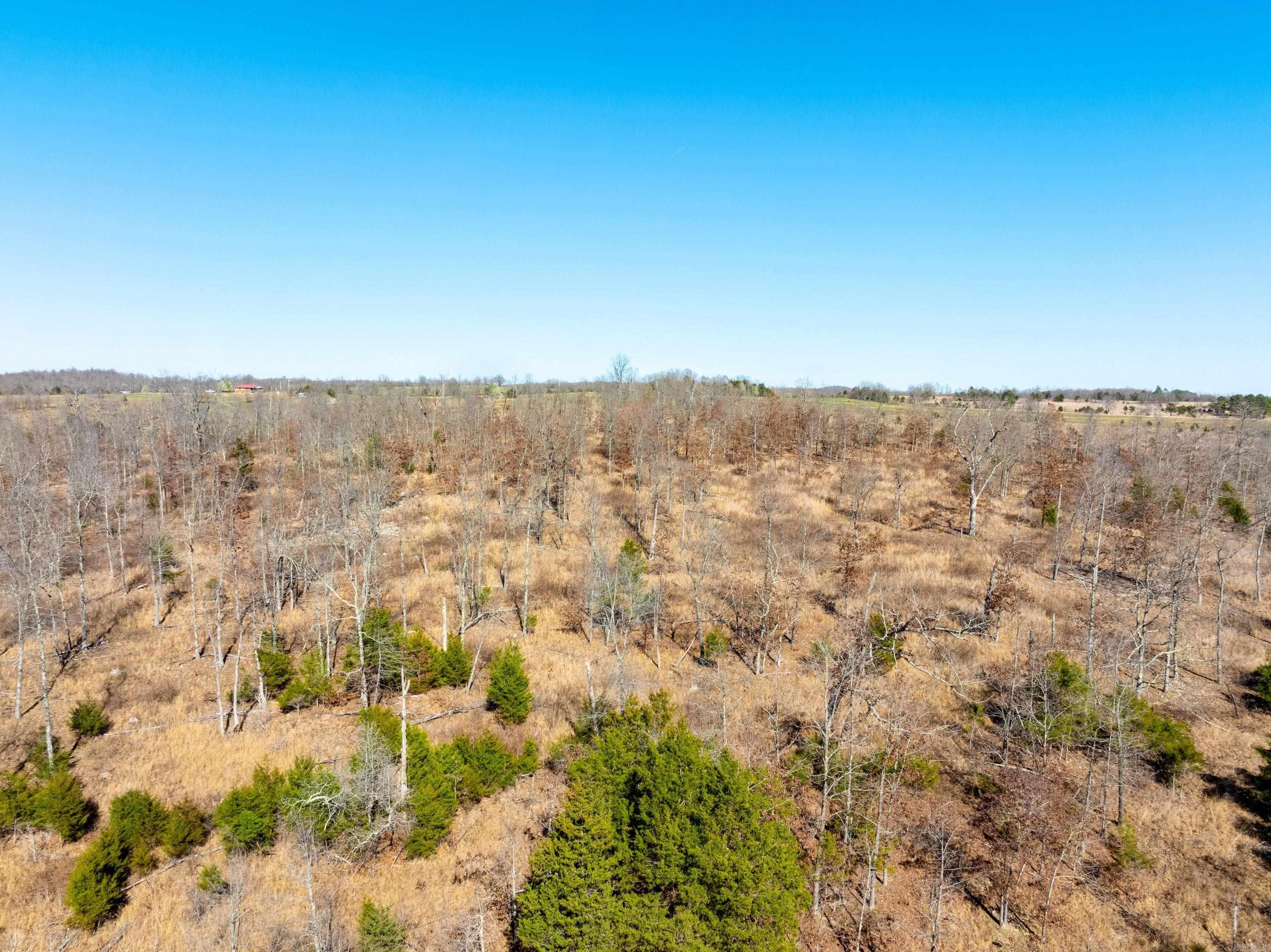 Photo 10 - Vacant Land for sale –   Green Valley Rd   Viola, AR