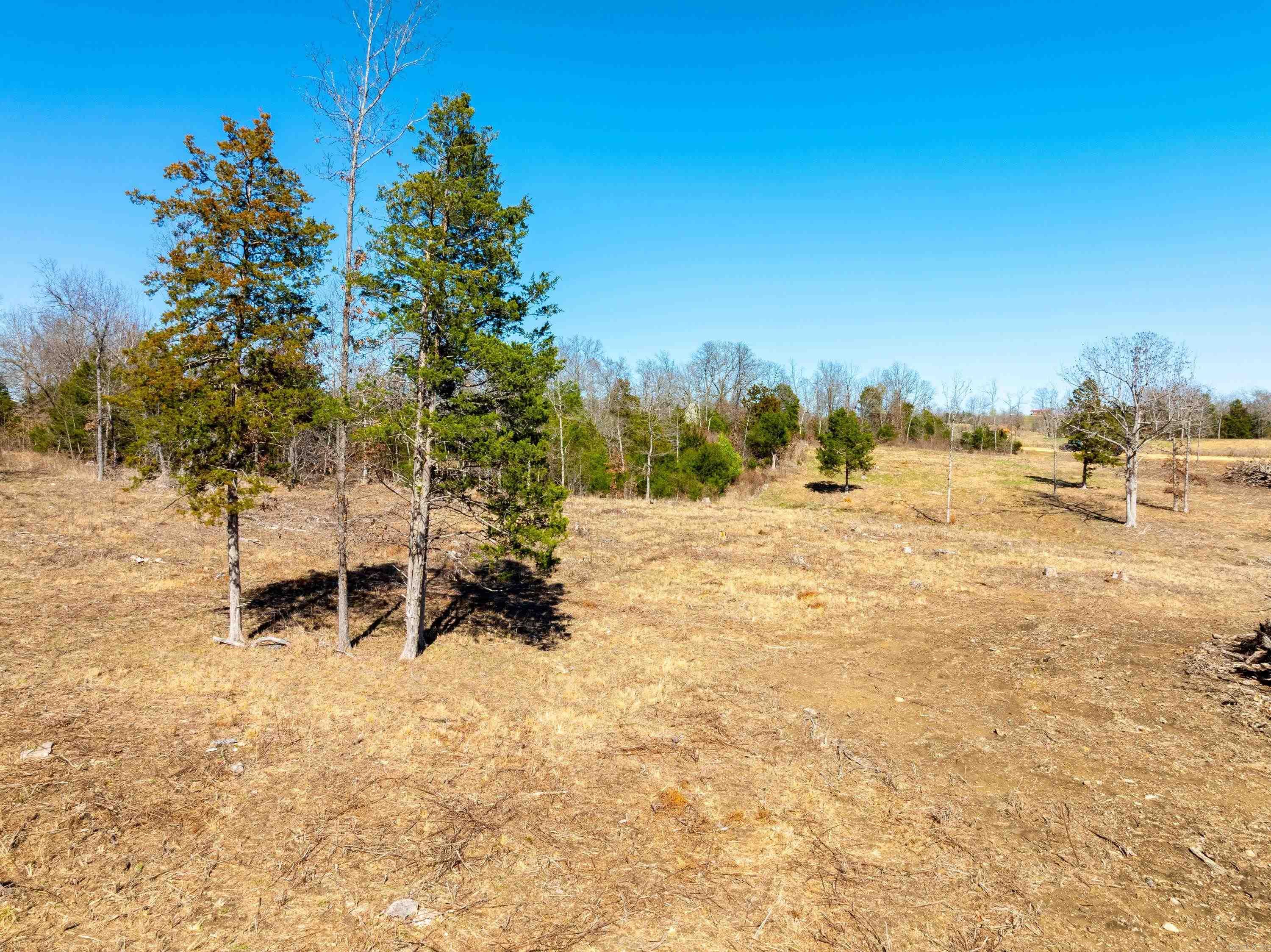 Vacant Land for sale –   Green Valley Rd   Viola, AR