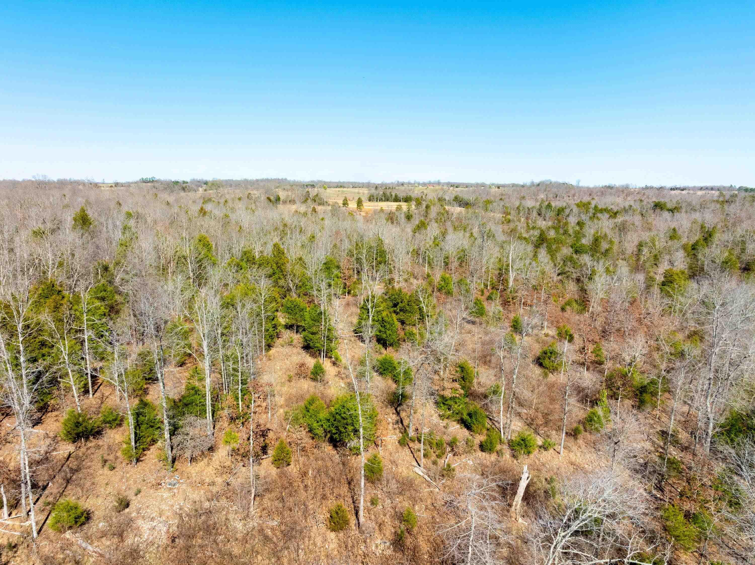 Photo 4 - Vacant Land for sale –   Green Valley Rd   Viola, AR