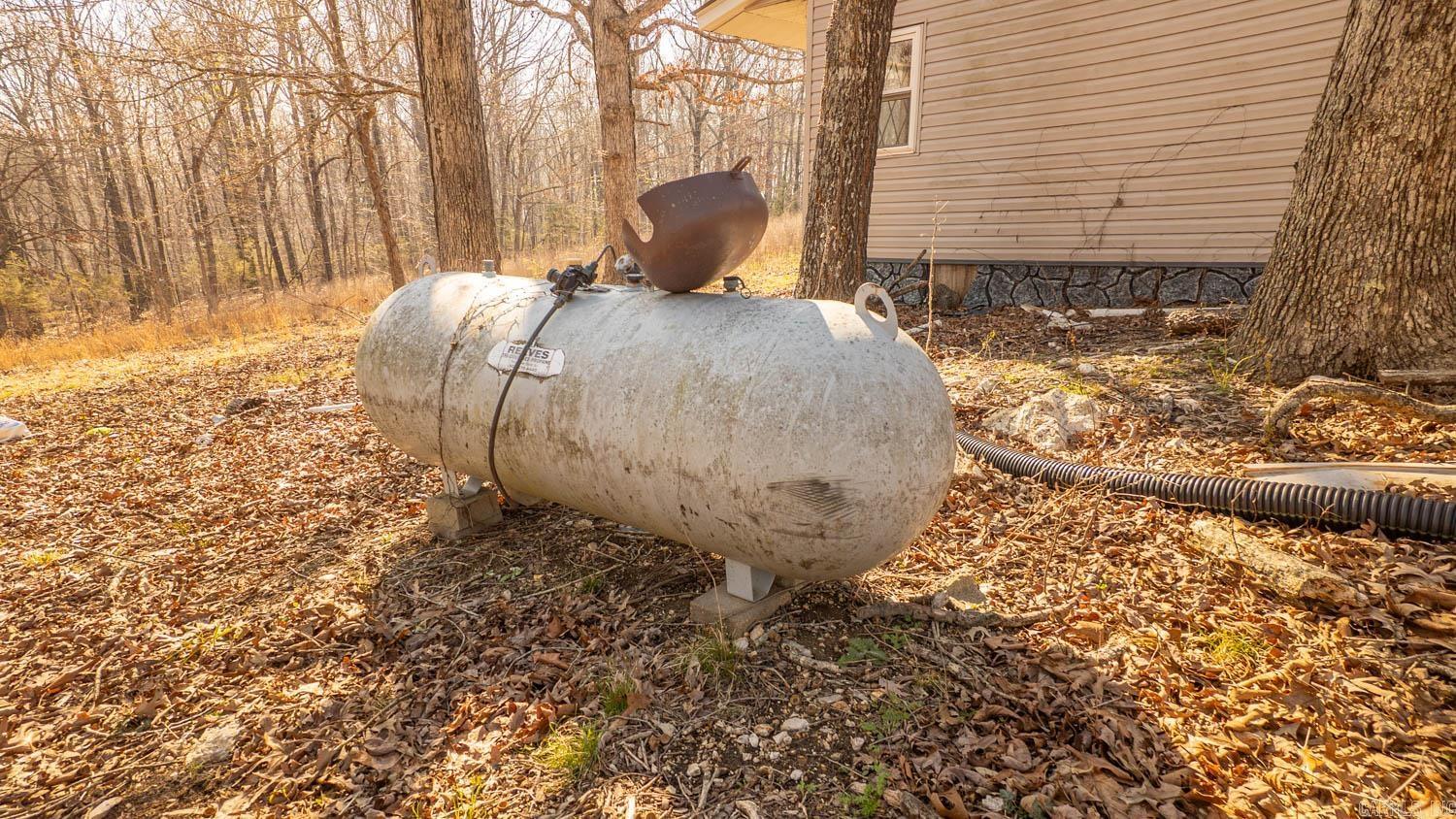 Photo 13 - Vacant Land for sale – 8125  Heart Road   Mammoth Spring, AR