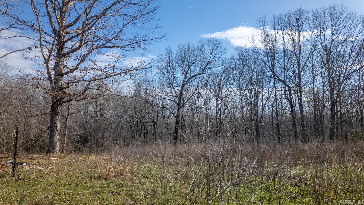 Photo 16 - Vacant Land for sale – 8125  Heart Road   Mammoth Spring, AR