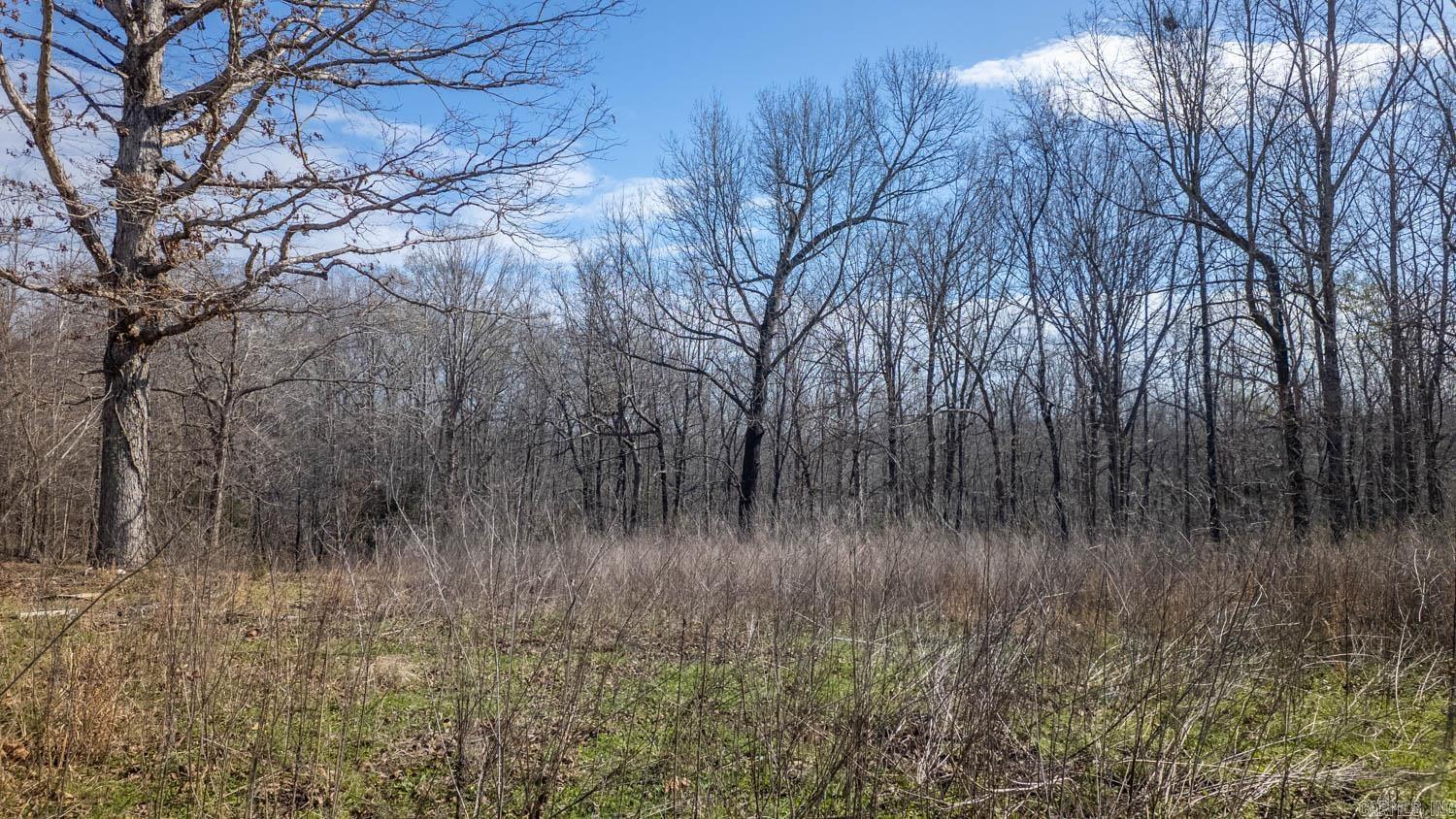 Photo 19 - Vacant Land for sale – 8125  Heart Road   Mammoth Spring, AR