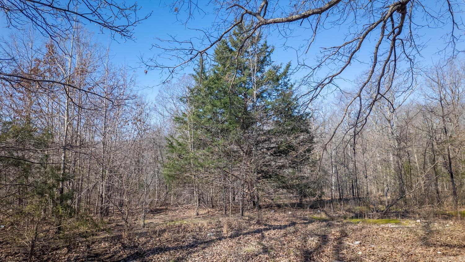 Photo 20 - Vacant Land for sale – 8125  Heart Road   Mammoth Spring, AR