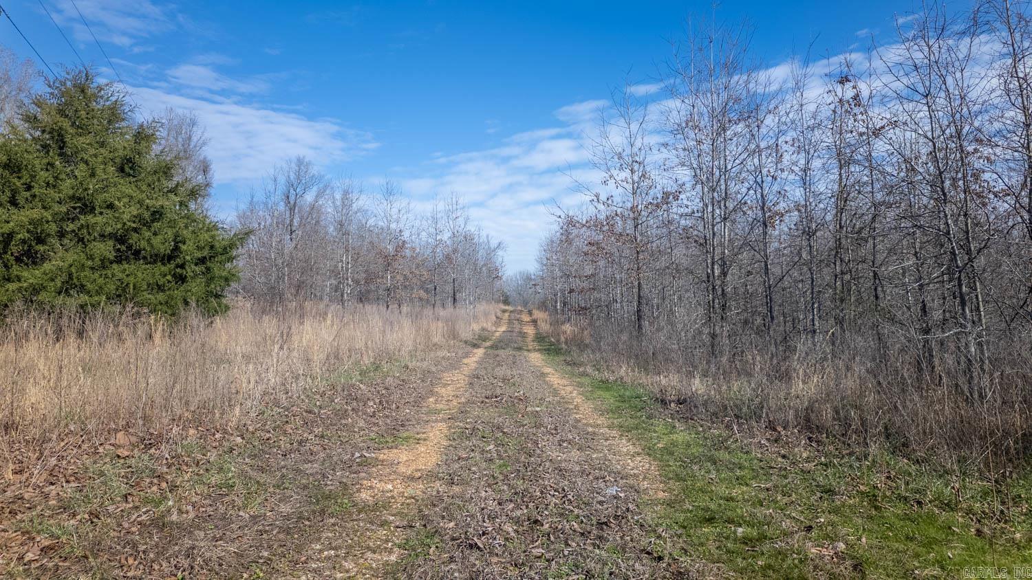 Photo 21 - Vacant Land for sale – 8125  Heart Road   Mammoth Spring, AR
