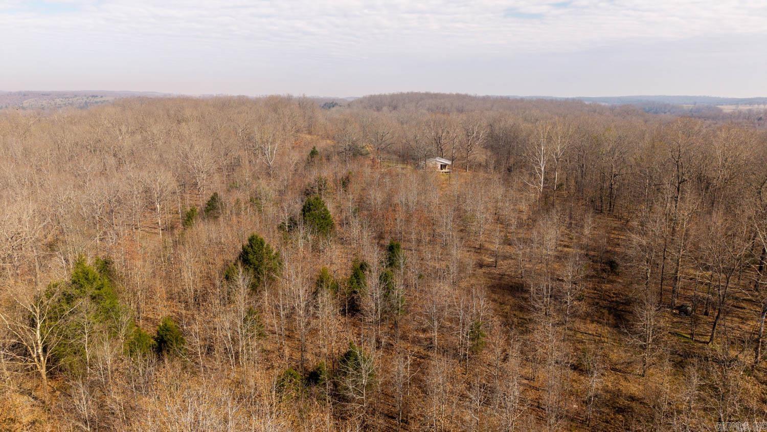 Photo 7 - Vacant Land for sale – 8125  Heart Road   Mammoth Spring, AR