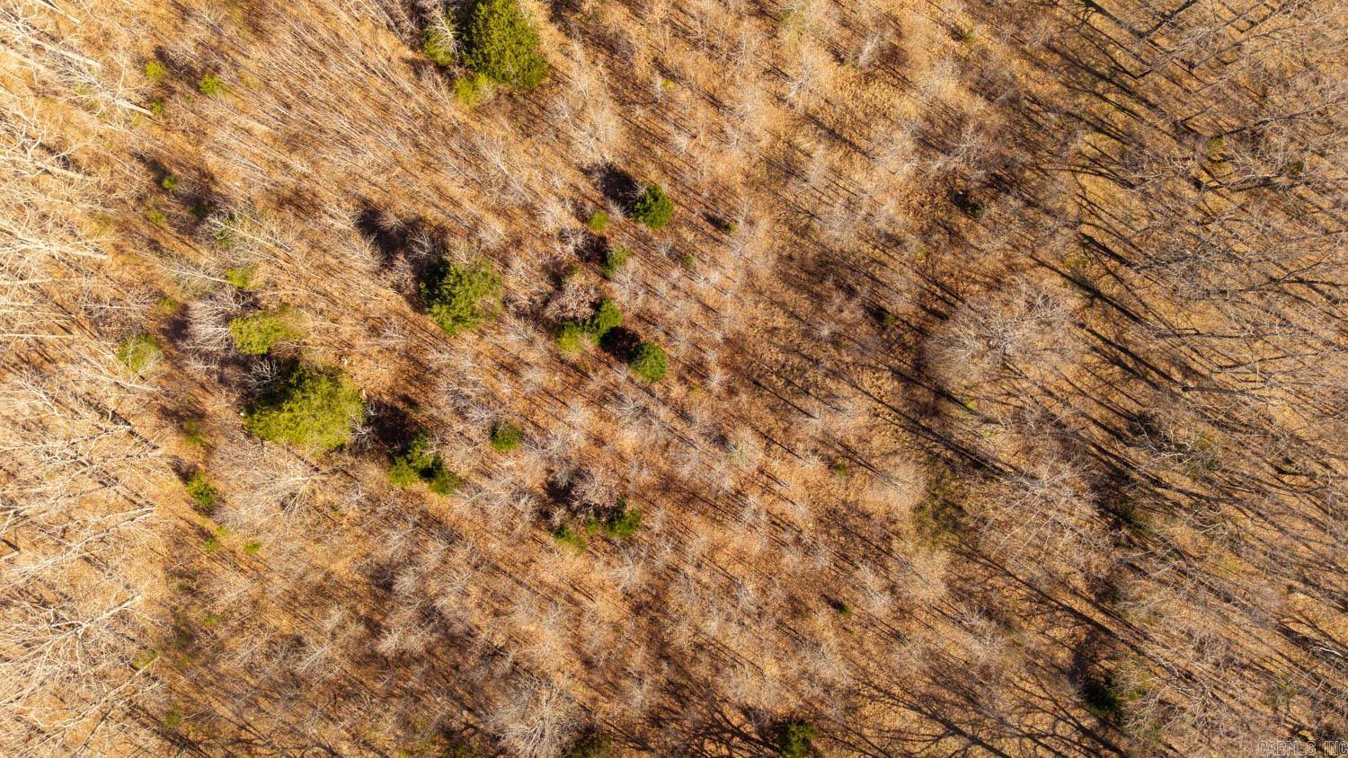 Photo 8 - Vacant Land for sale – 8125  Heart Road   Mammoth Spring, AR