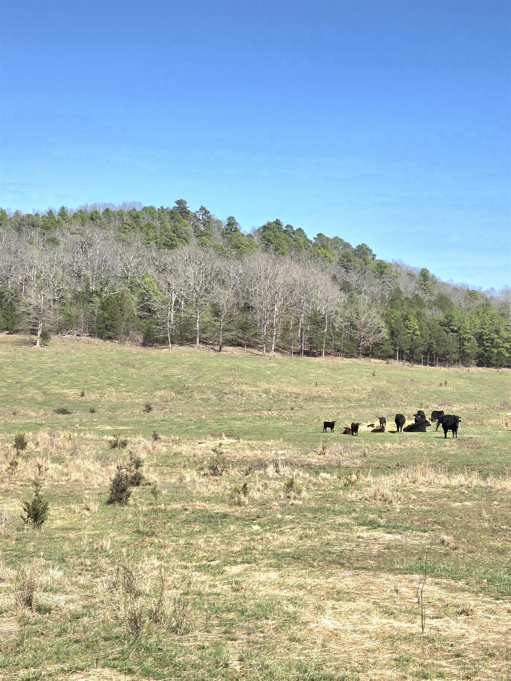 Vacant Land for sale – 311  Rock Hill   Dolph, AR